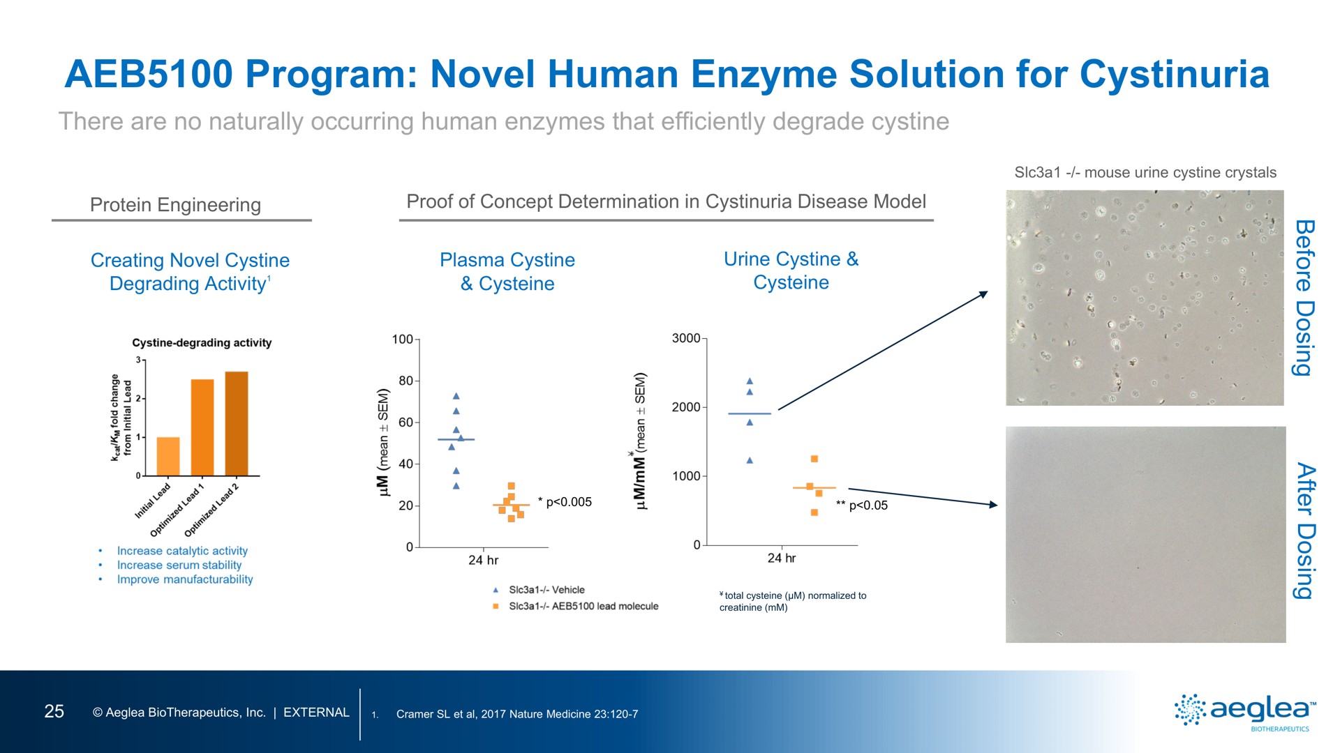 program novel human enzyme solution for cystinuria | Aeglea BioTherapeutics