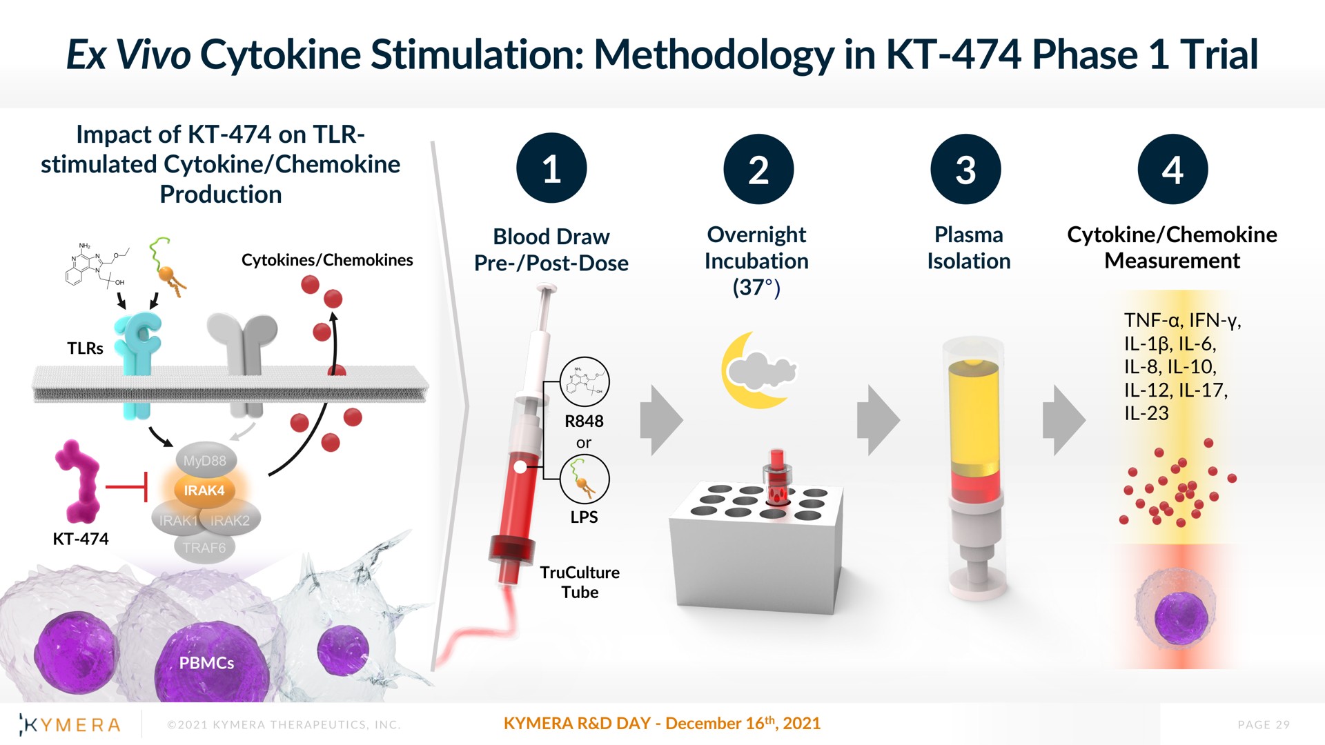 stimulation methodology in phase trial | Kymera