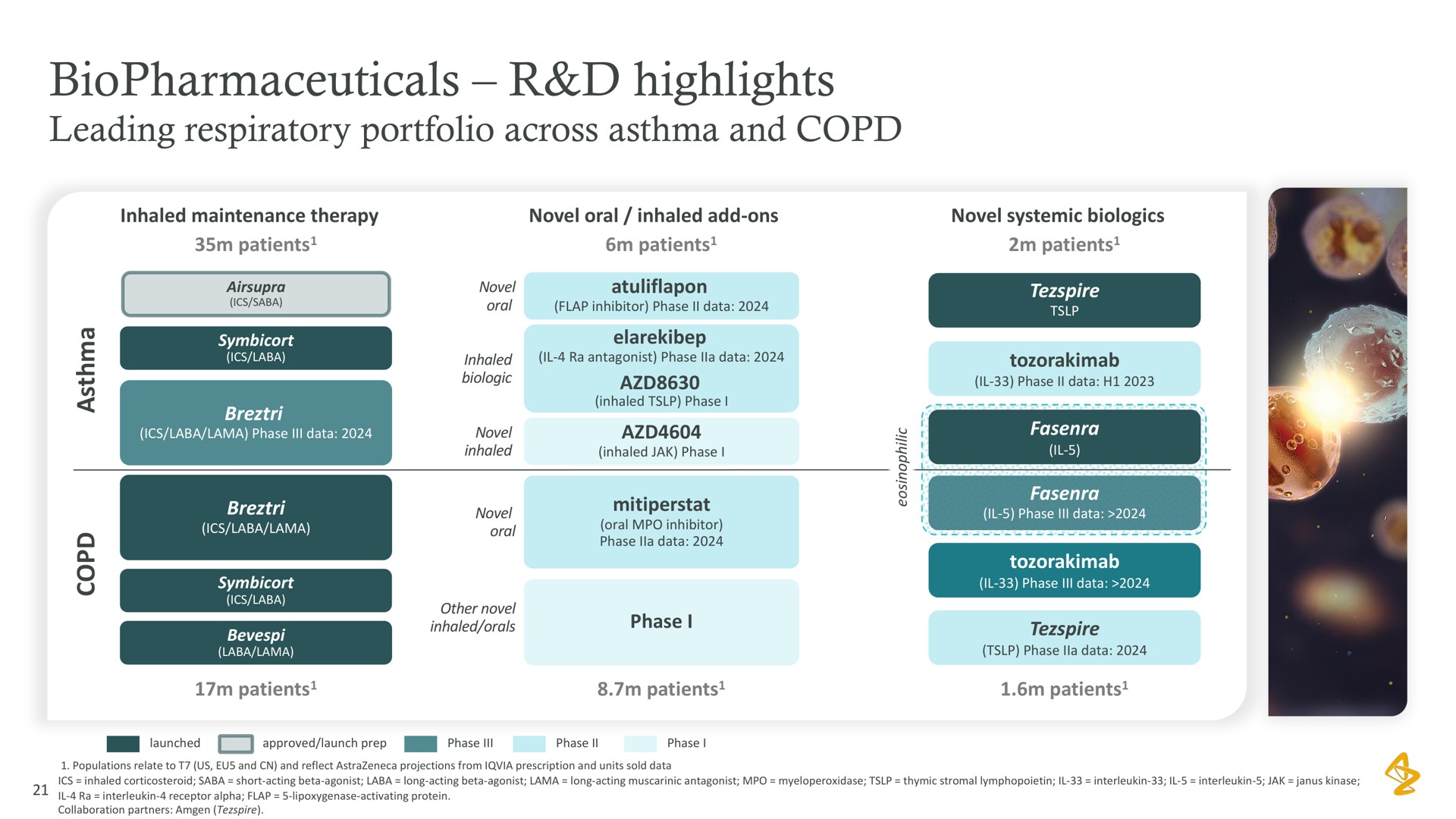highlights leading respiratory portfolio across asthma and | AstraZeneca