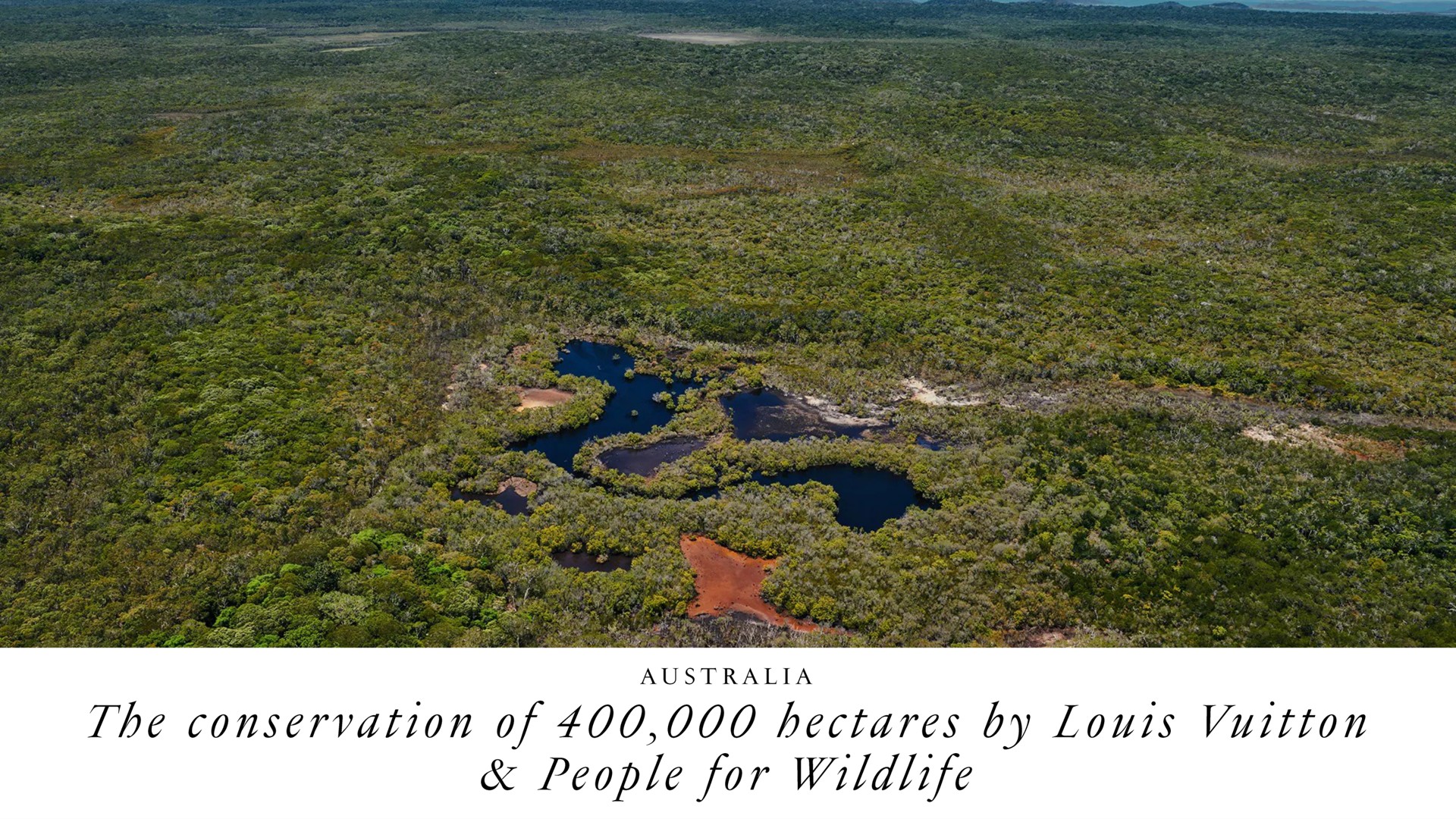 the conservation of hectares by people for wildlife | LVMH