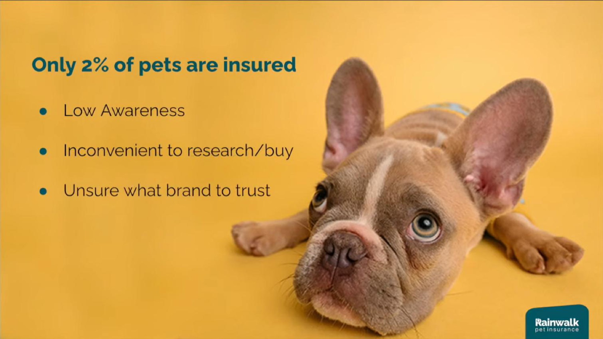 only of pets are insured | Rainwalk
