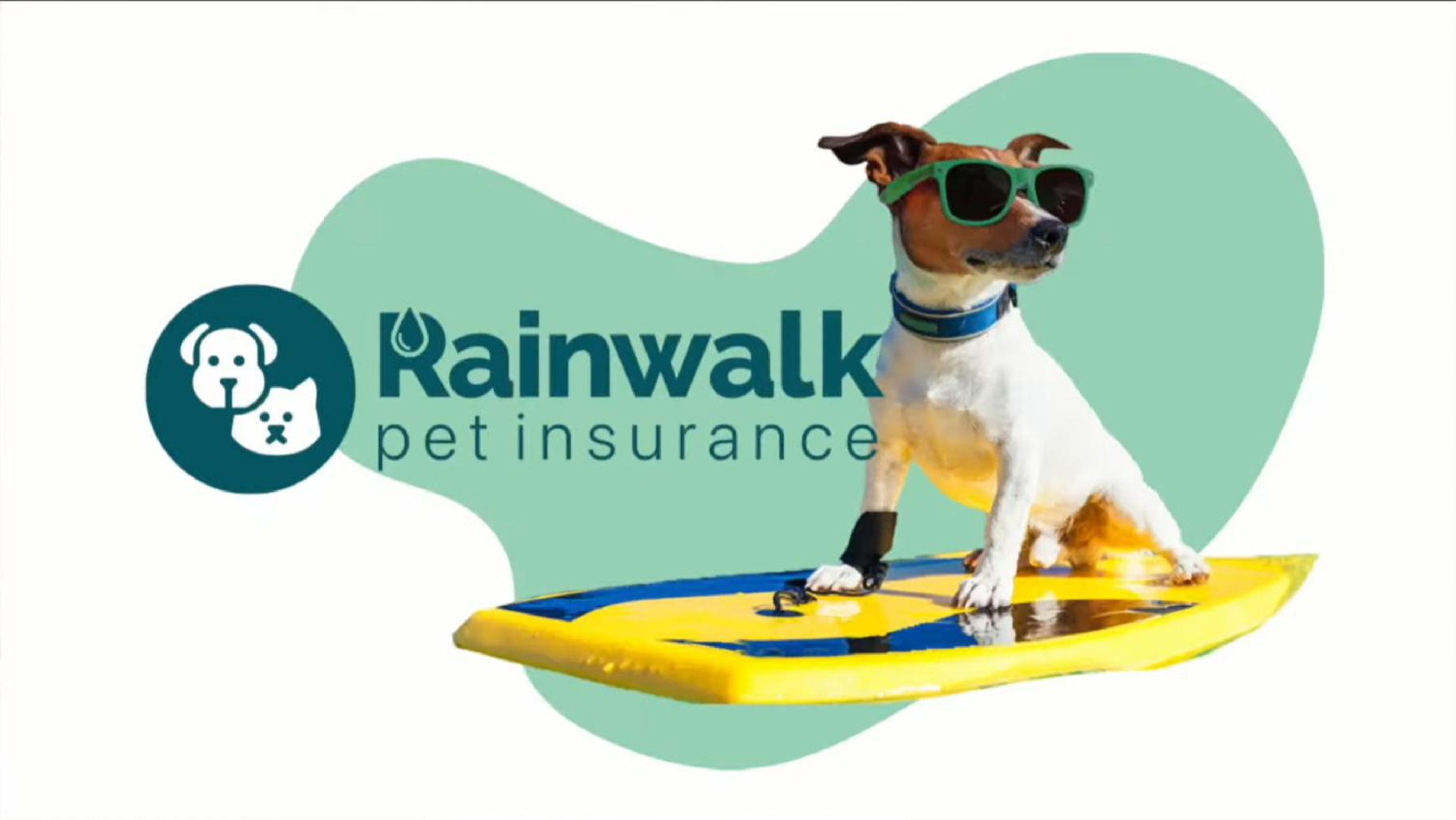 pet insurance | Rainwalk