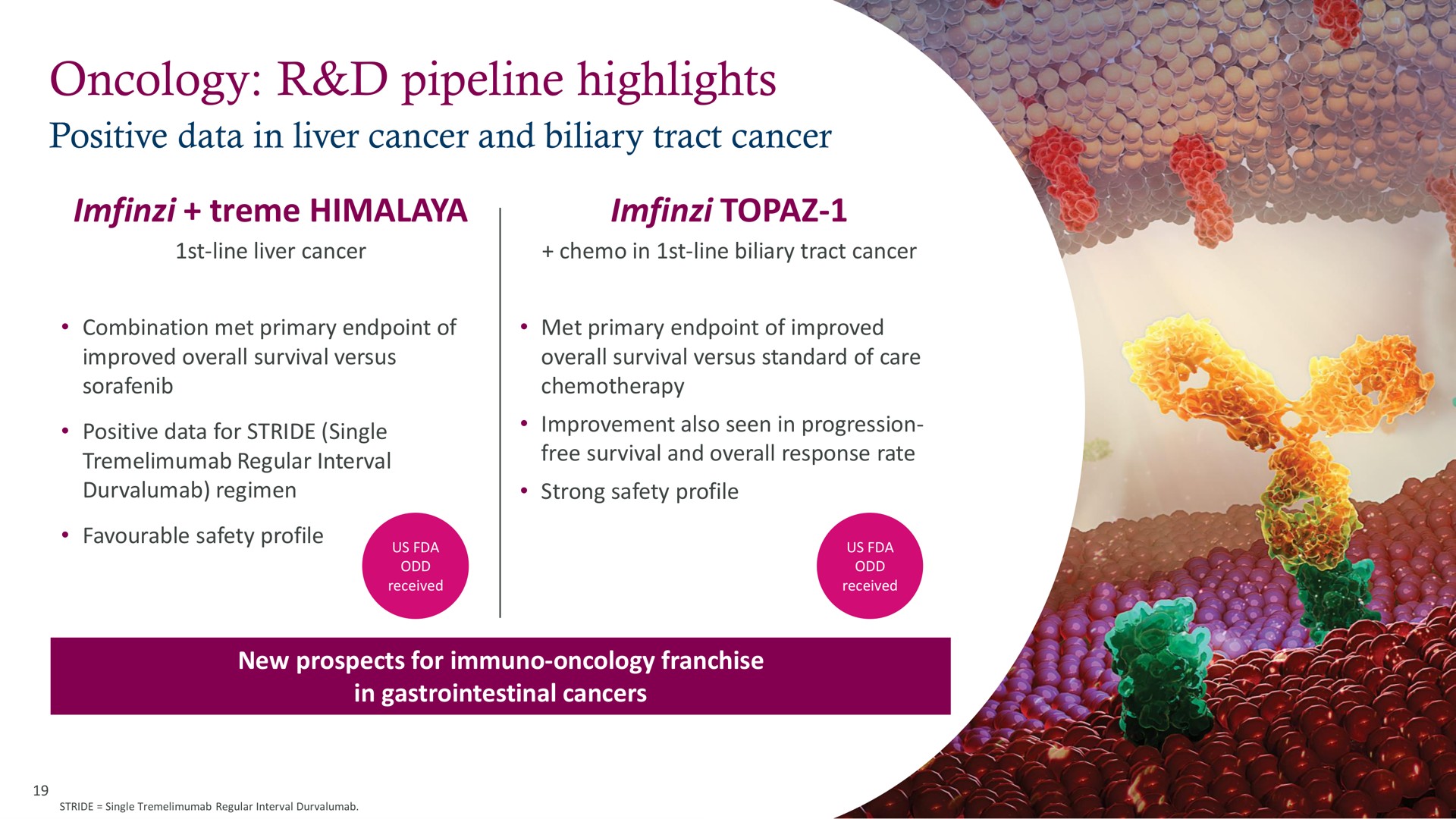 oncology pipeline highlights | AstraZeneca
