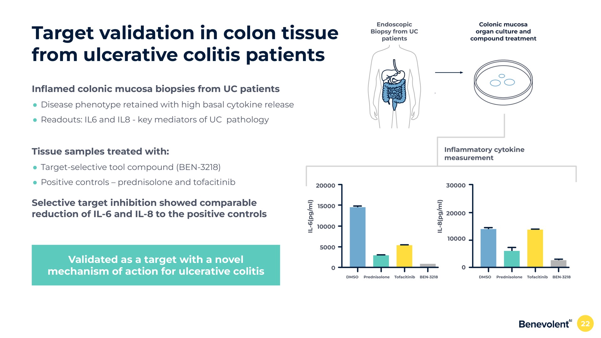 target validation in colon tissue from ulcerative colitis patients in colonic mucosa biopsies from patients tissue samples treated with selective target inhibition showed comparable reduction of and to the positive controls validated as a target with a novel mechanism of action for ulcerative colitis an | BenevolentAI