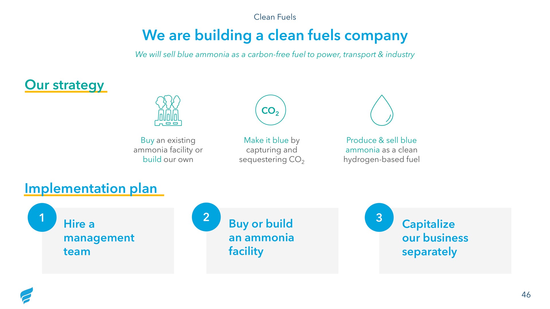 our strategy we are building a clean fuels company implementation plan hire a management team buy or build an ammonia facility capitalize our business separately | NewFortress Energy