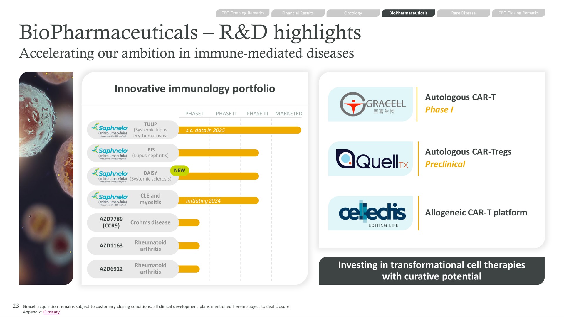 highlights accelerating our ambition in immune mediated diseases innovative immunology portfolio investing in cell therapies with curative potential | AstraZeneca