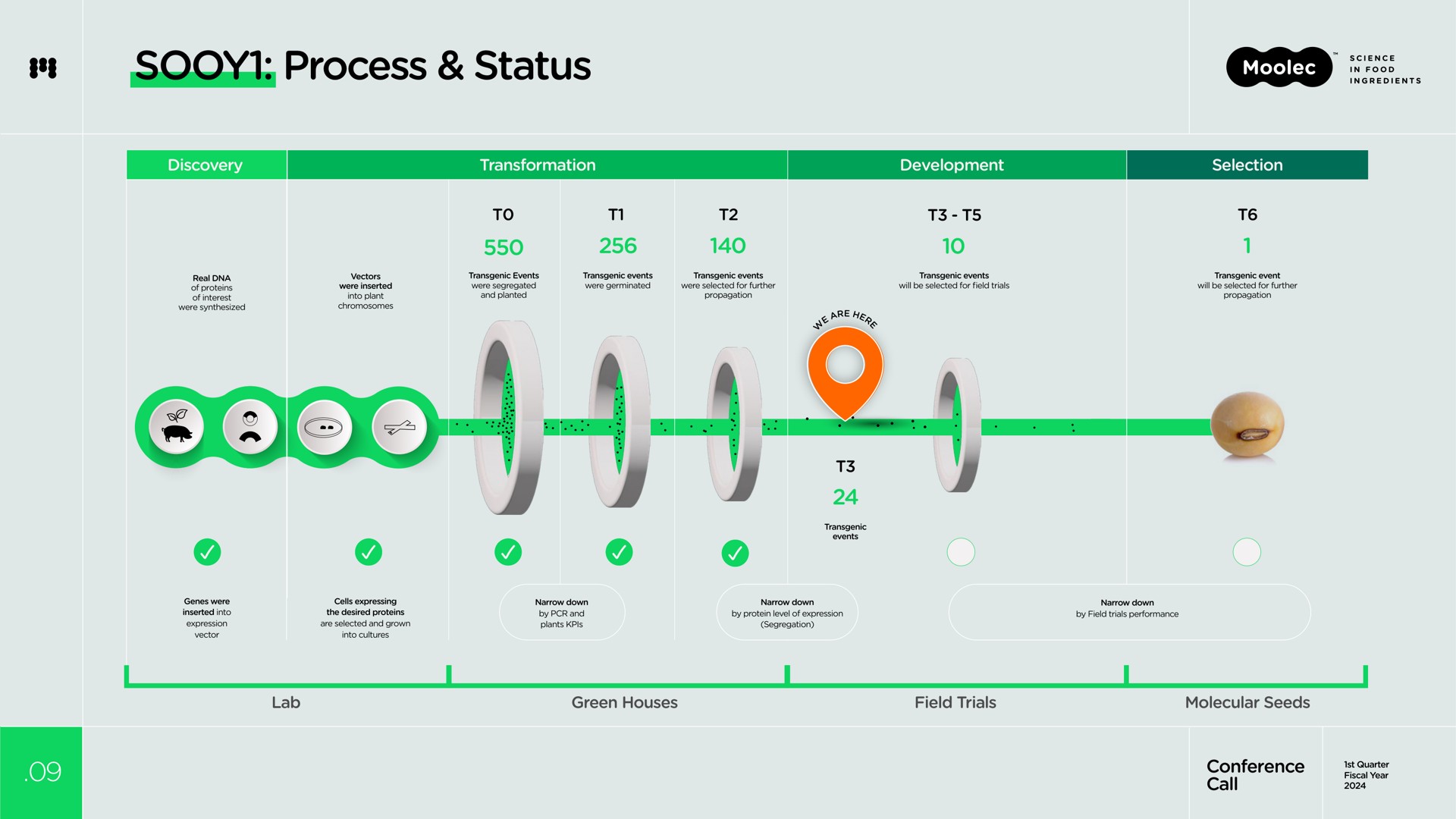 process status | Moolec Science