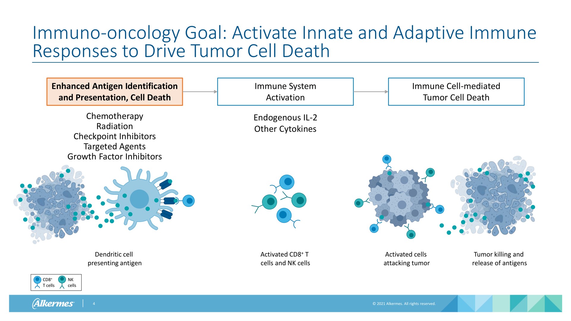 oncology goal activate innate and adaptive immune responses to drive tumor cell death enhanced antigen identification and presentation cell death chemotherapy radiation inhibitors targeted agents growth factor inhibitors immune system activation endogenous other immune cell mediated tumor cell death dendritic cell presenting antigen activated cells and cells activated cells attacking tumor tumor killing and release of antigens cells cells aes | Alkermes