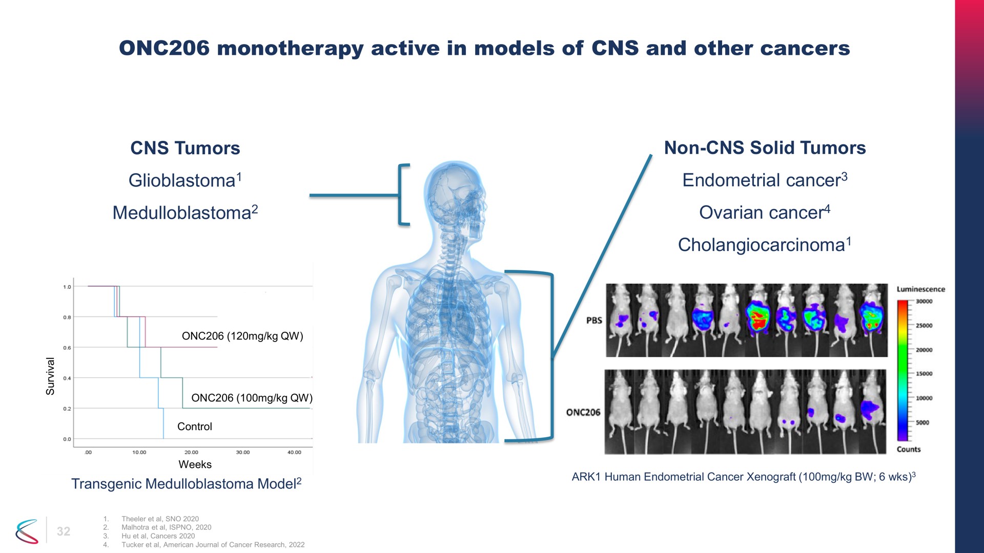 active in models of and other cancers tumors non solid tumors endometrial cancer ovarian cancer | Chimerix