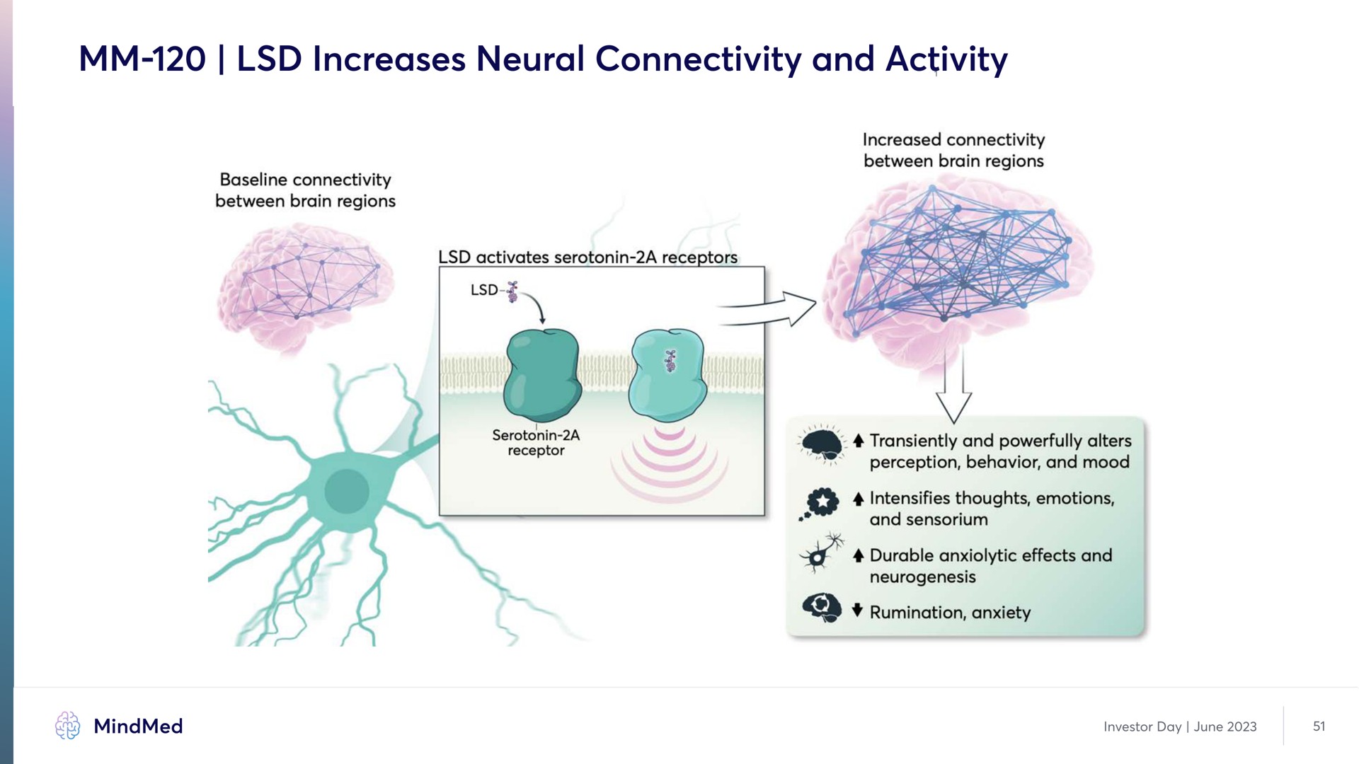 increases neural connectivity and activity | MindMed