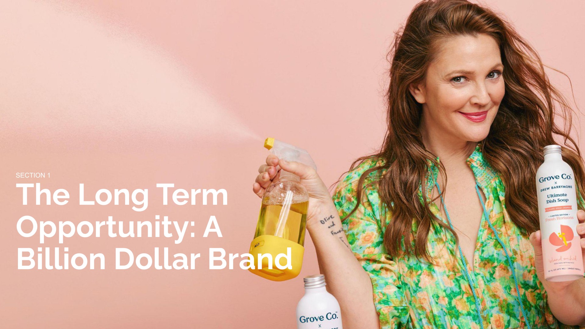 the long term opportunity a billion dollar brand | Grove