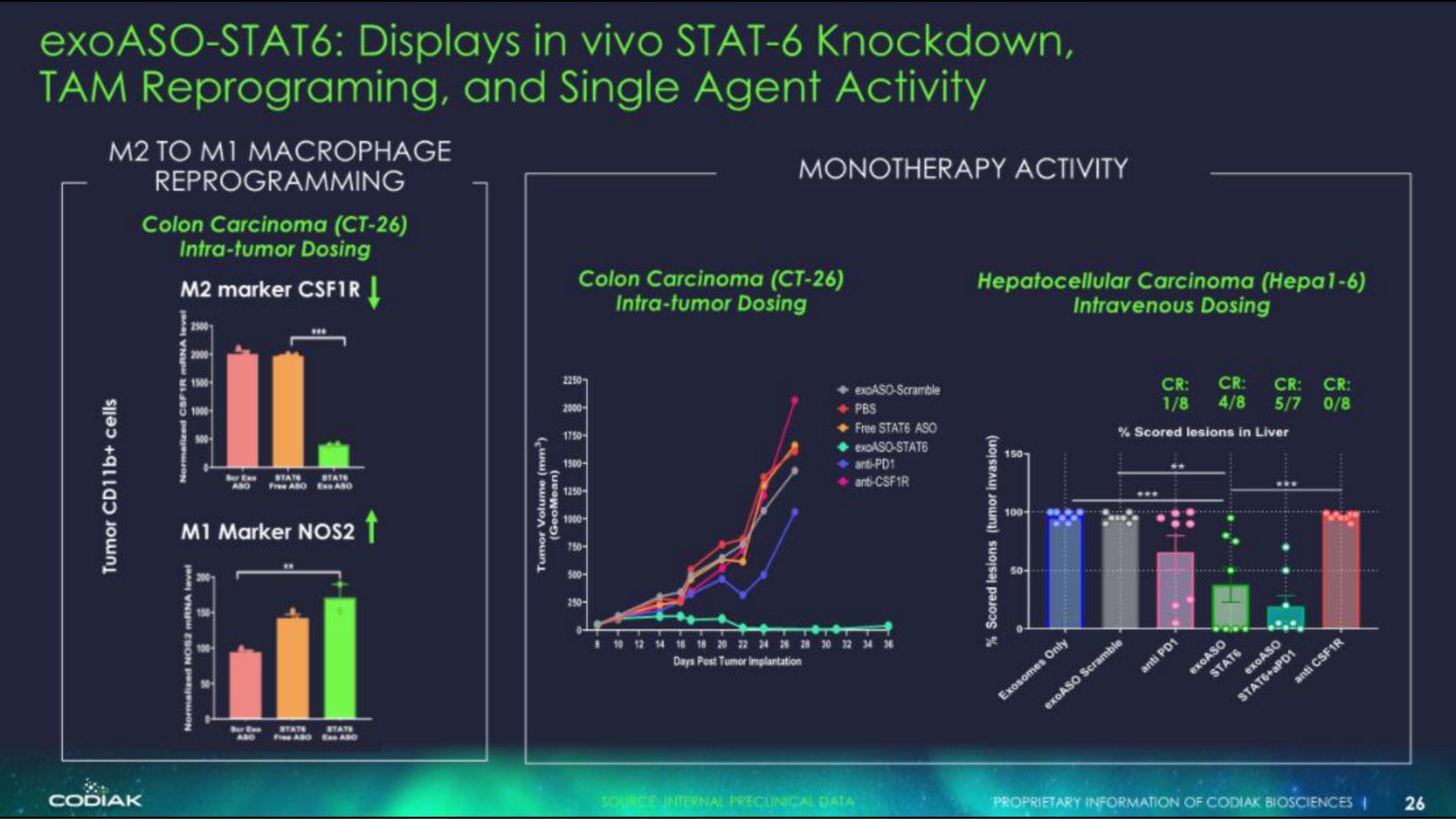 displays in knockdown tam and single agent activity | Codiak