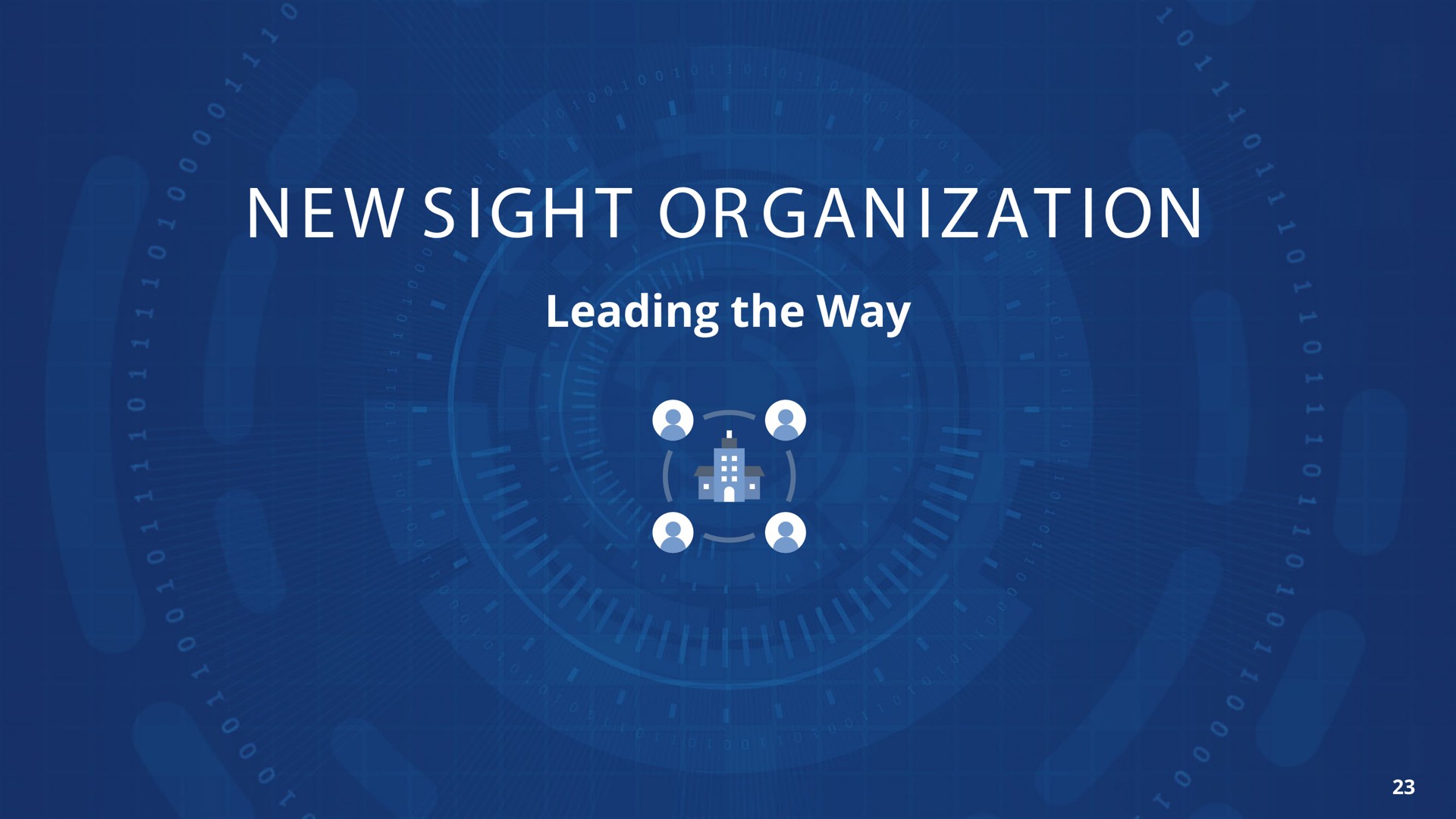 or ion leading the way new sight organization a | Newsight Imaging