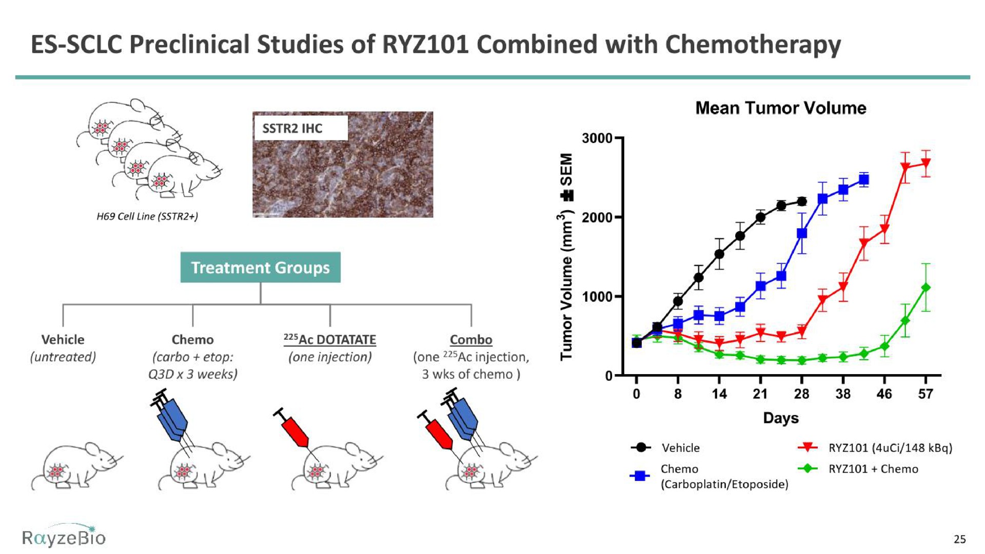 preclinical studies of combined with chemotherapy | RayzeBio