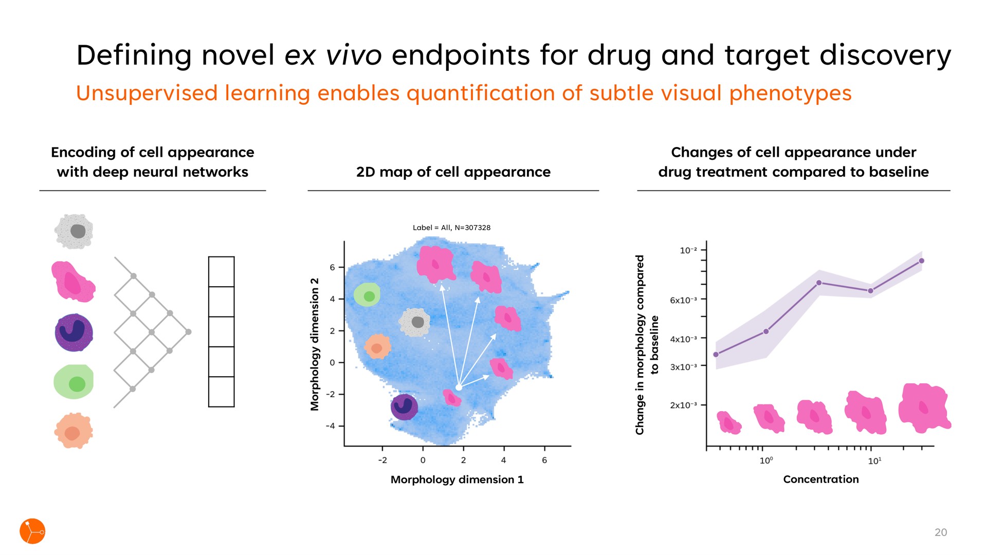 defining novel for drug and target discovery | Exscientia