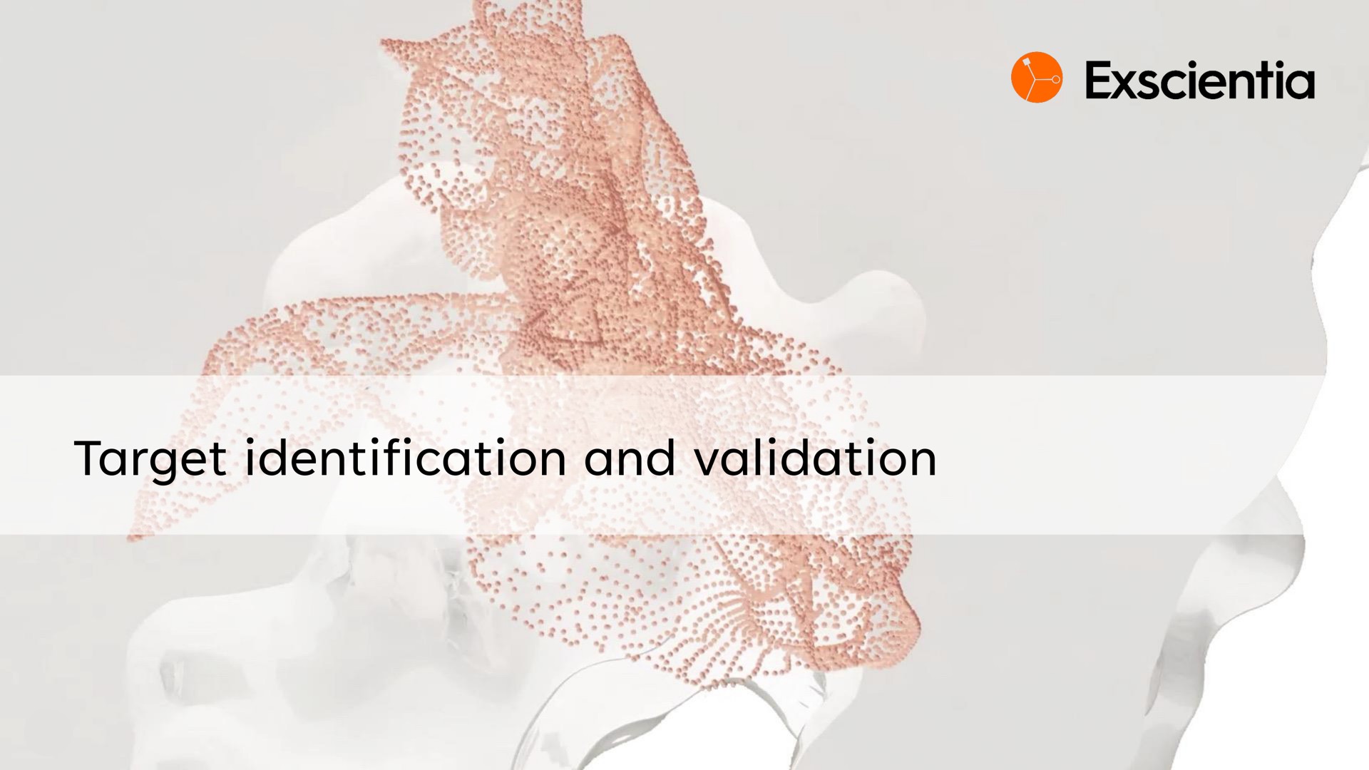 target identification and validation | Exscientia