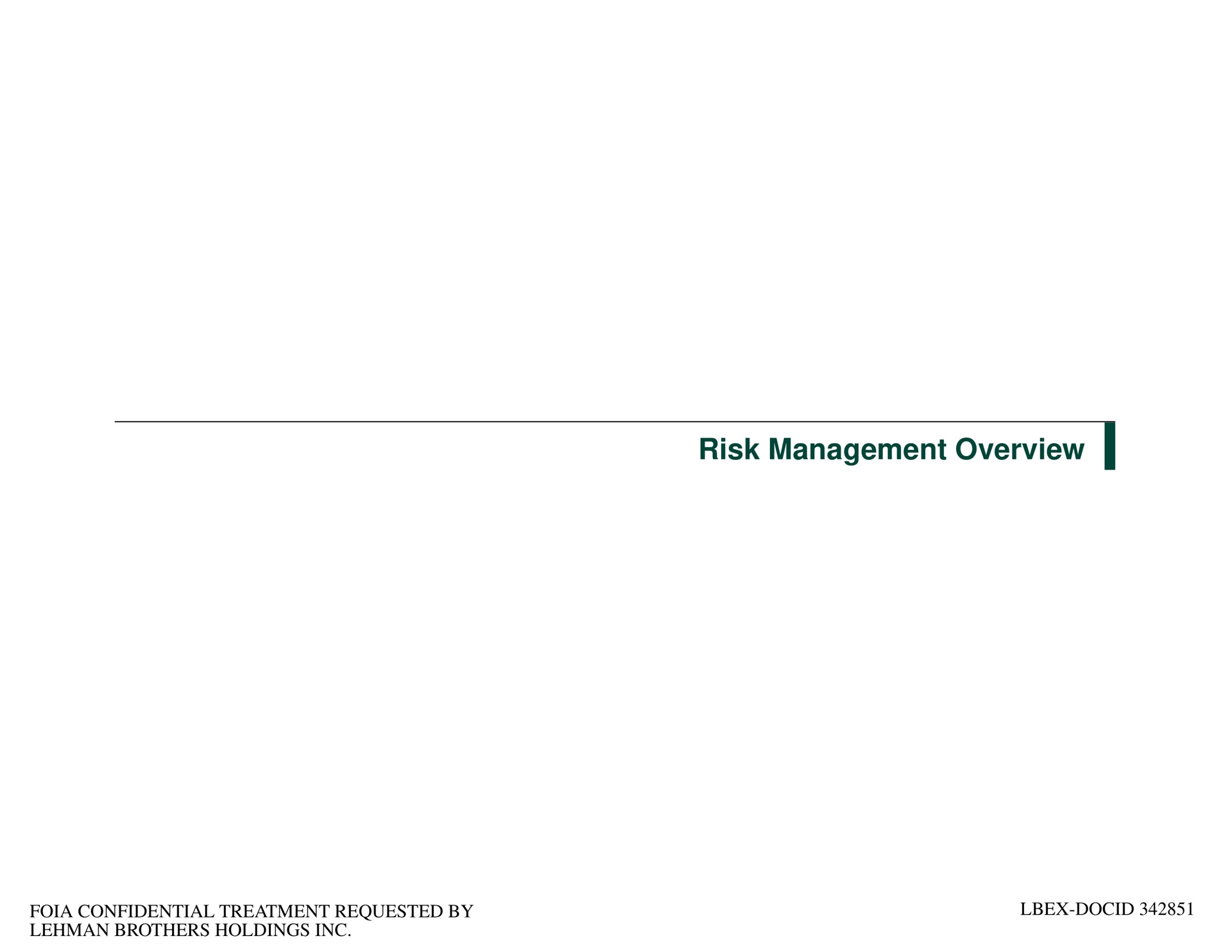 risk management overview | Lehman Brothers