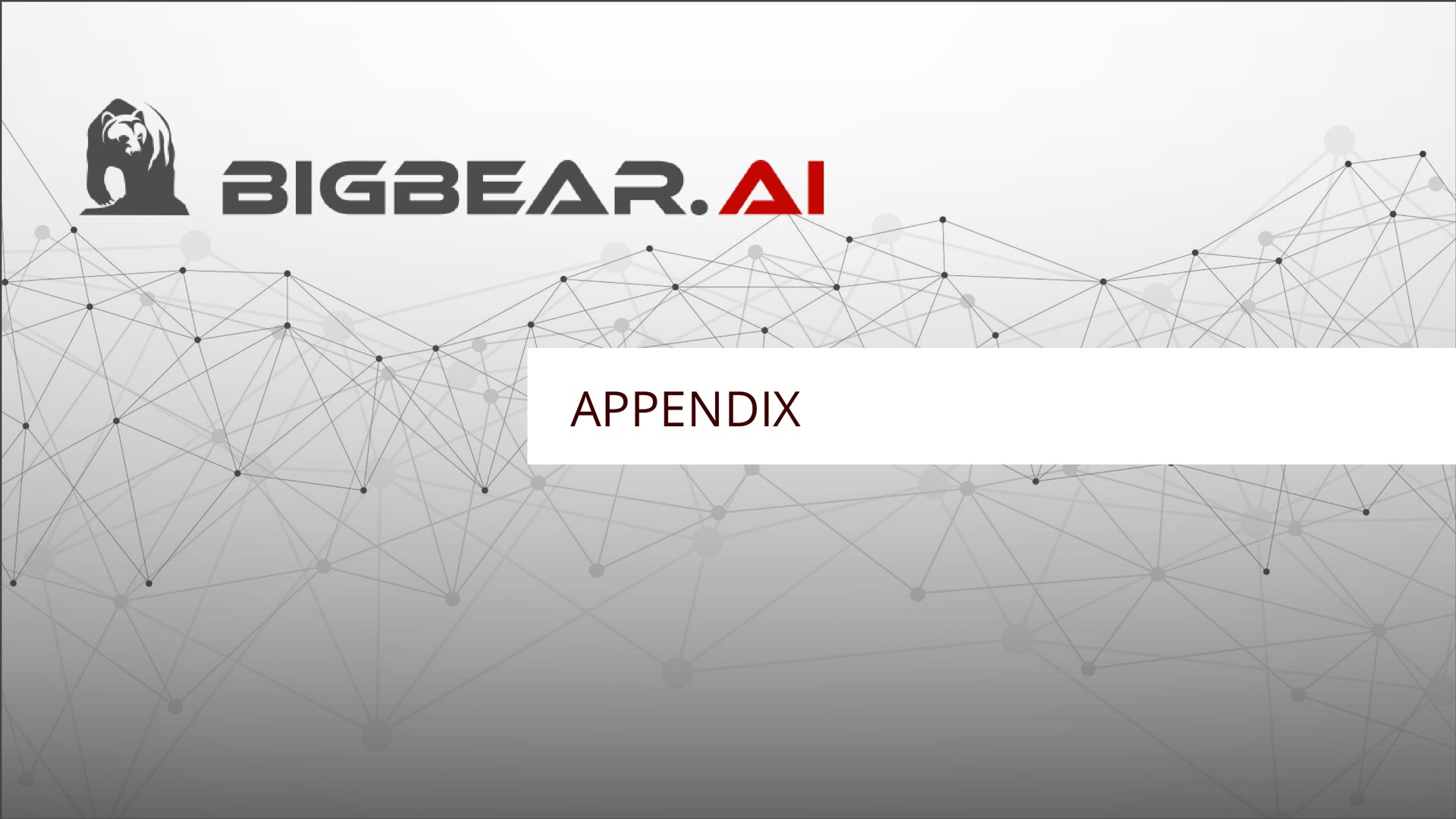 appendix | Bigbear AI