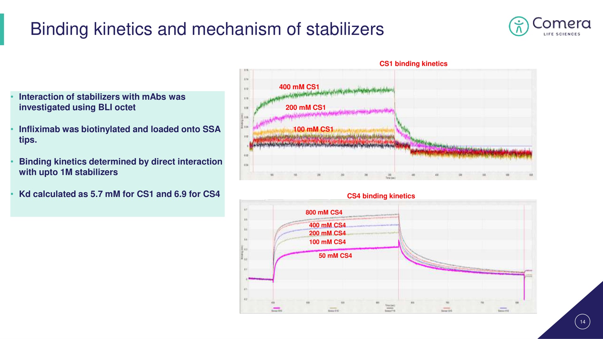 binding kinetics and mechanism of stabilizers | Comera