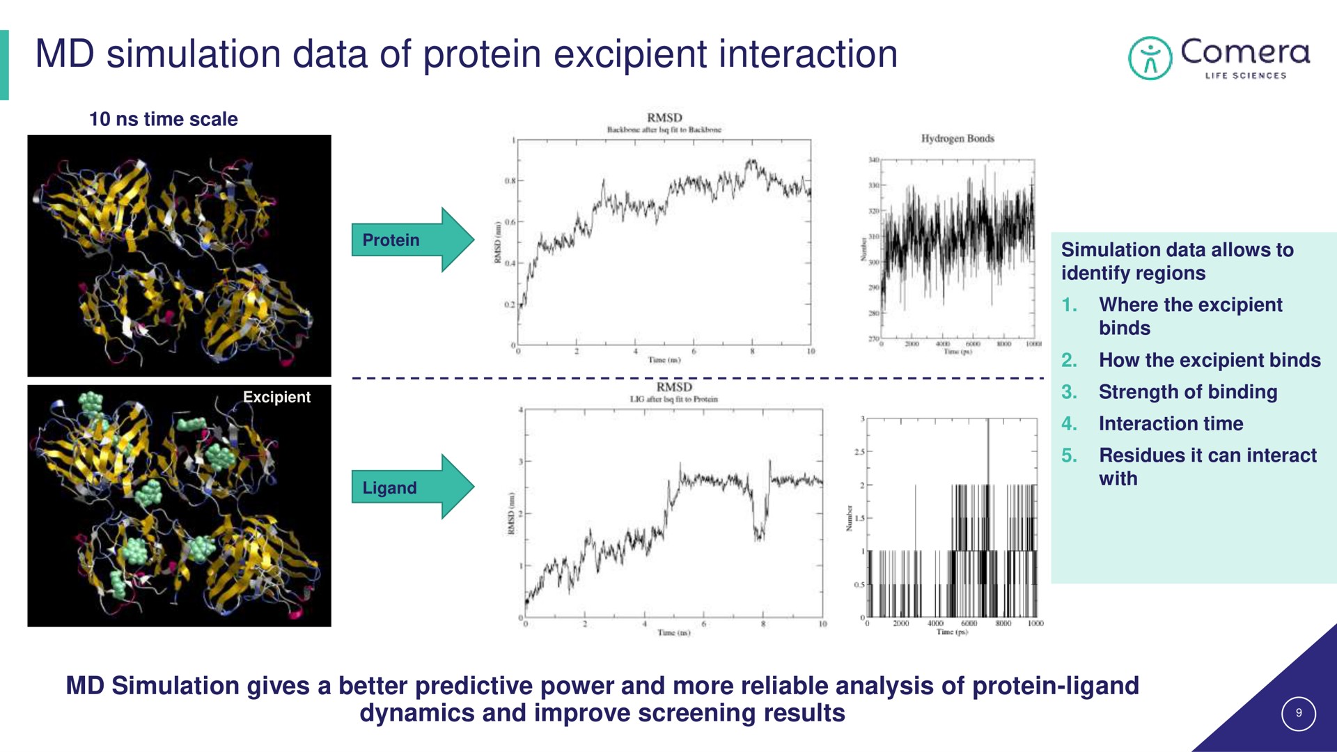 simulation data of protein excipient interaction des | Comera