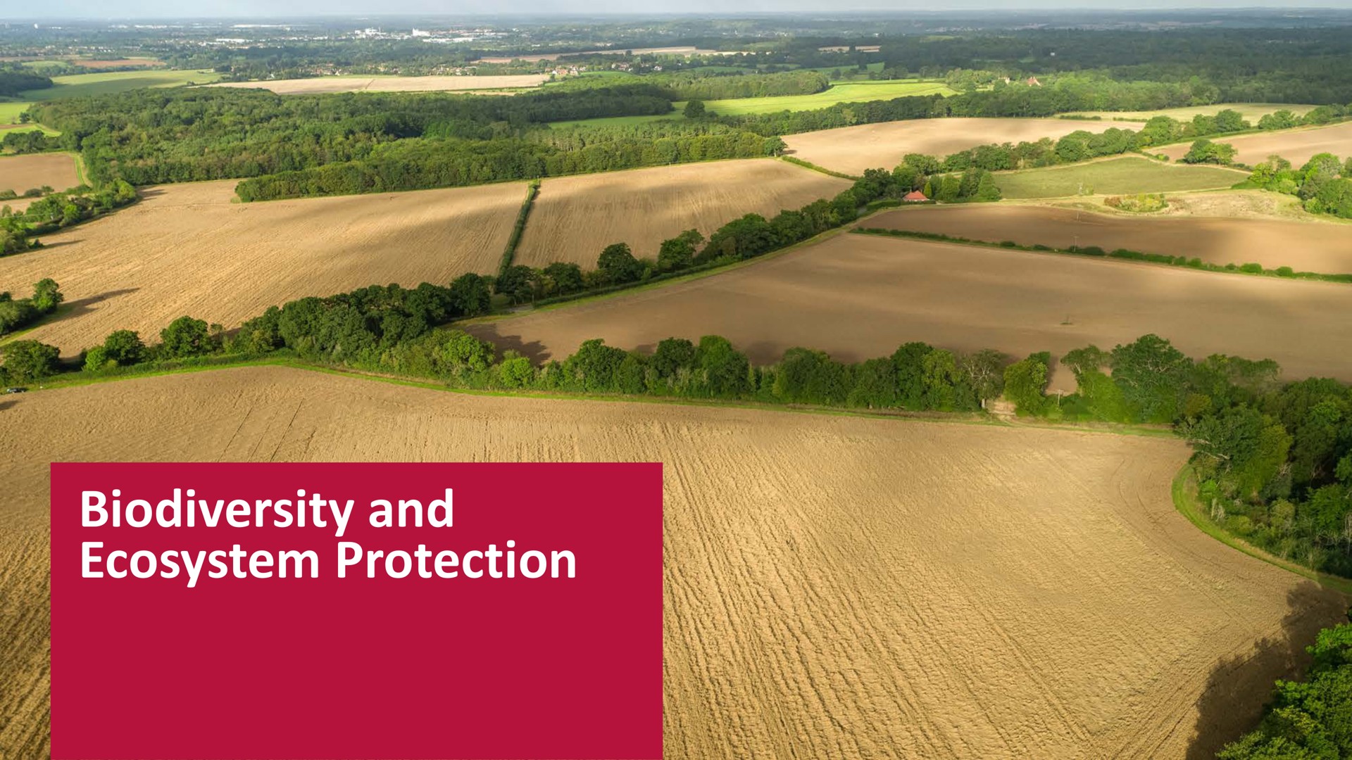 and introduction ecosystem protection | Associated British Foods