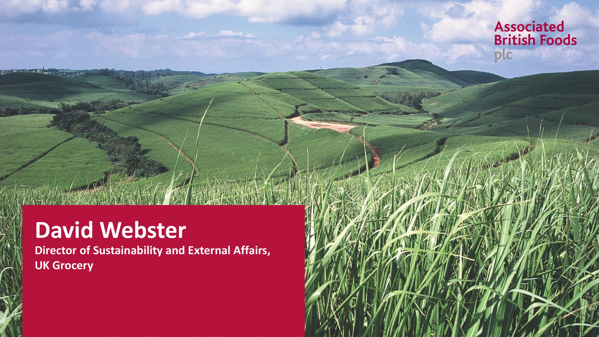 webster director of and external affairs grocery associated foods | Associated British Foods