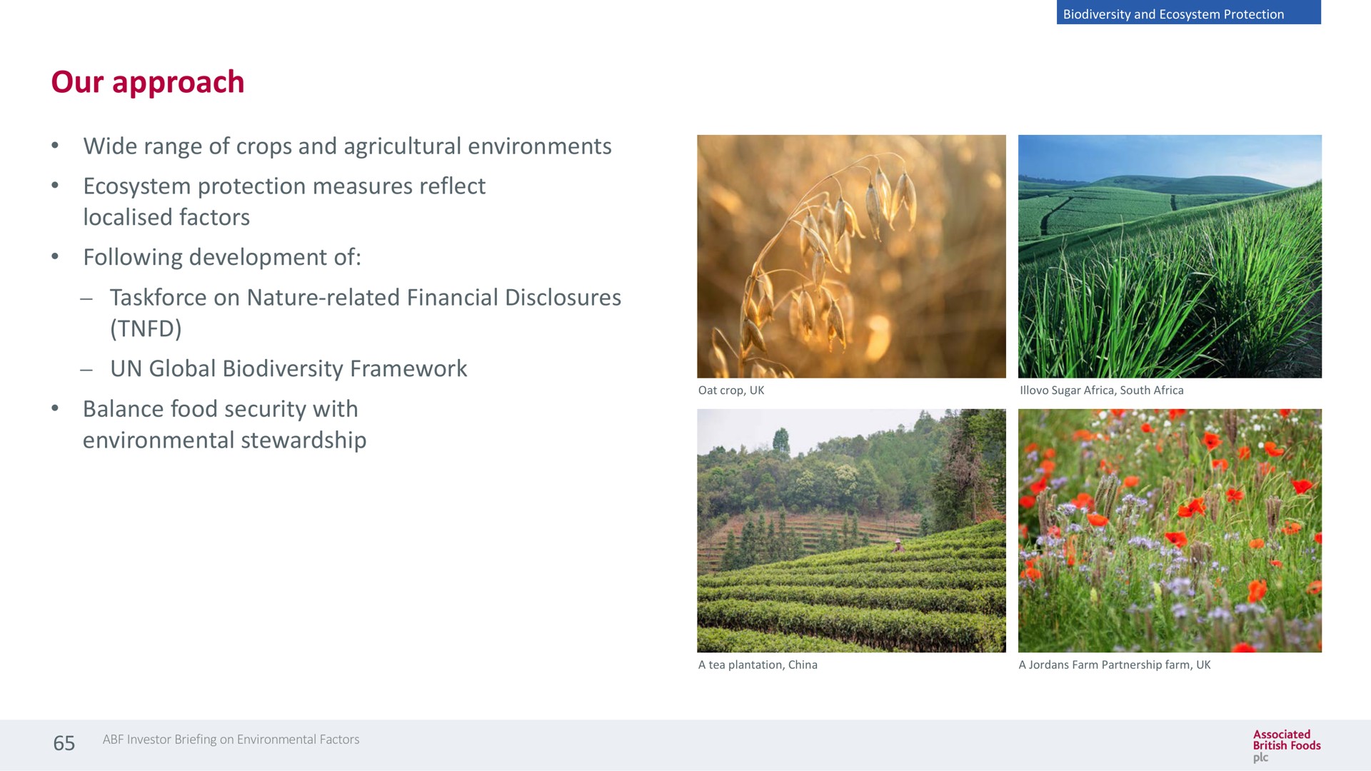 our approach wide range of crops and agricultural environments ecosystem protection measures reflect factors following development of on nature related financial disclosures global framework balance food security with environmental stewardship | Associated British Foods