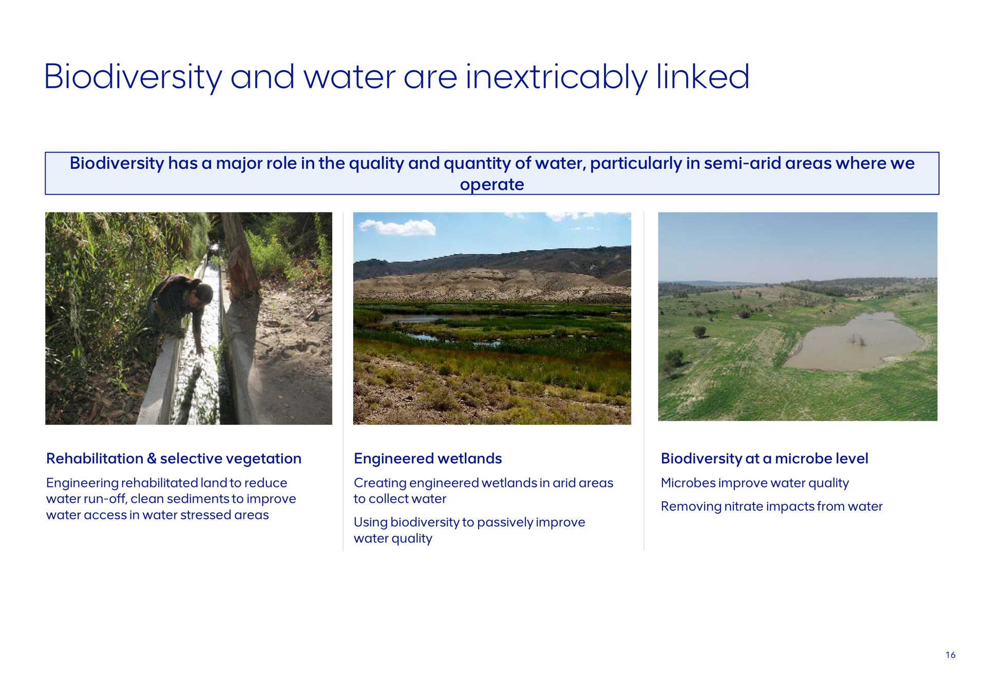 and water are inextricably linked | AngloAmerican