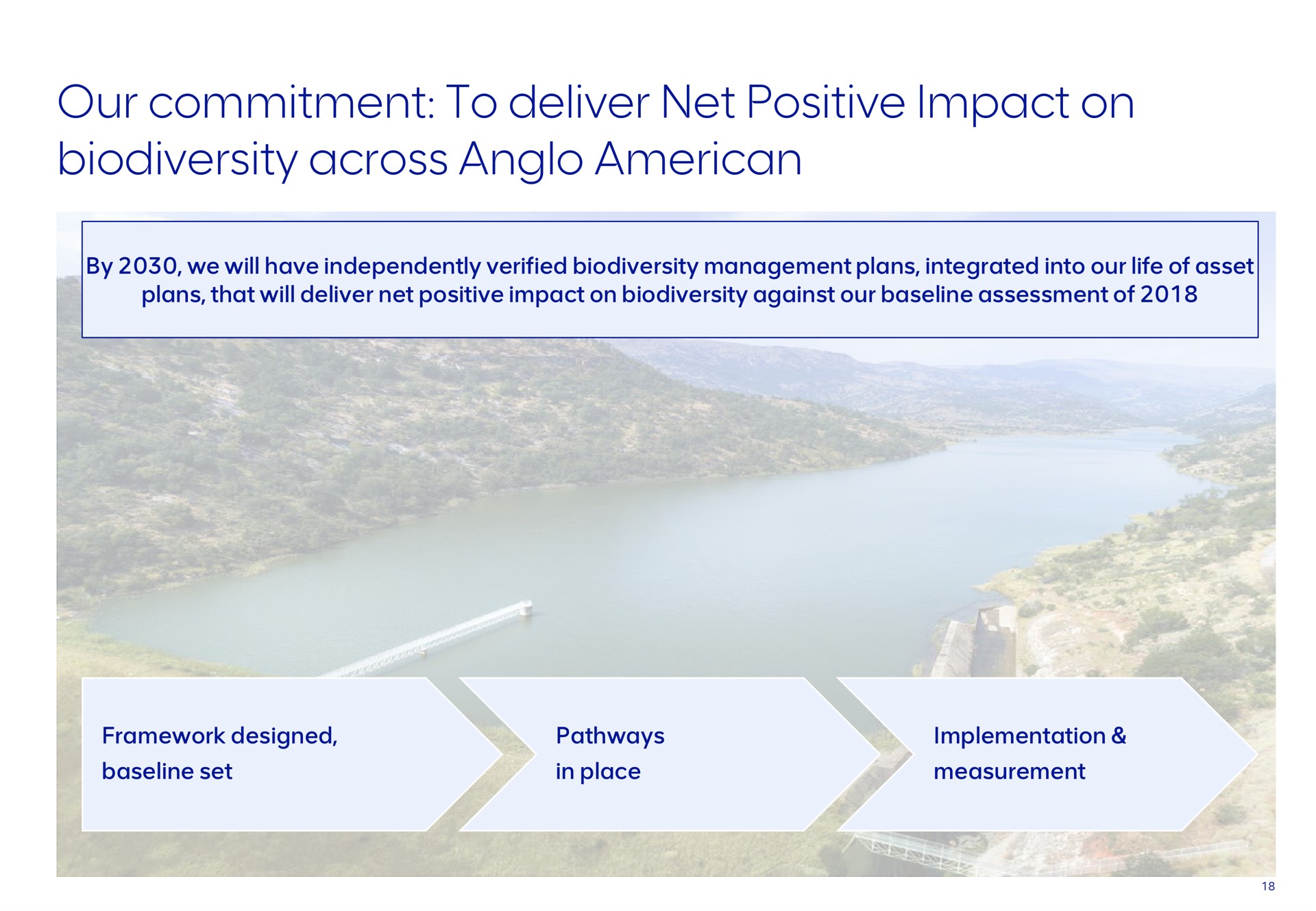 our commitment to deliver net positive impact on across | AngloAmerican