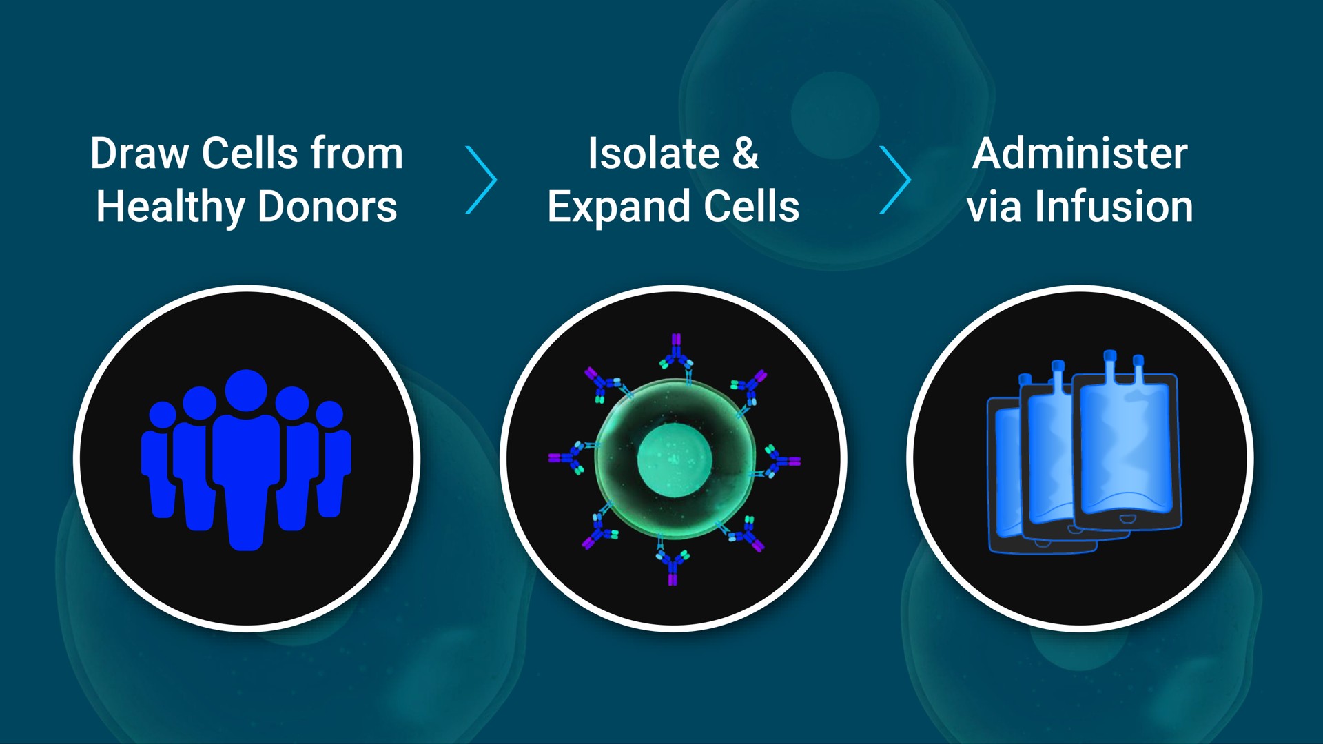 draw cells from healthy donors isolate expand cells administer via infusion | Mink Therapeutics