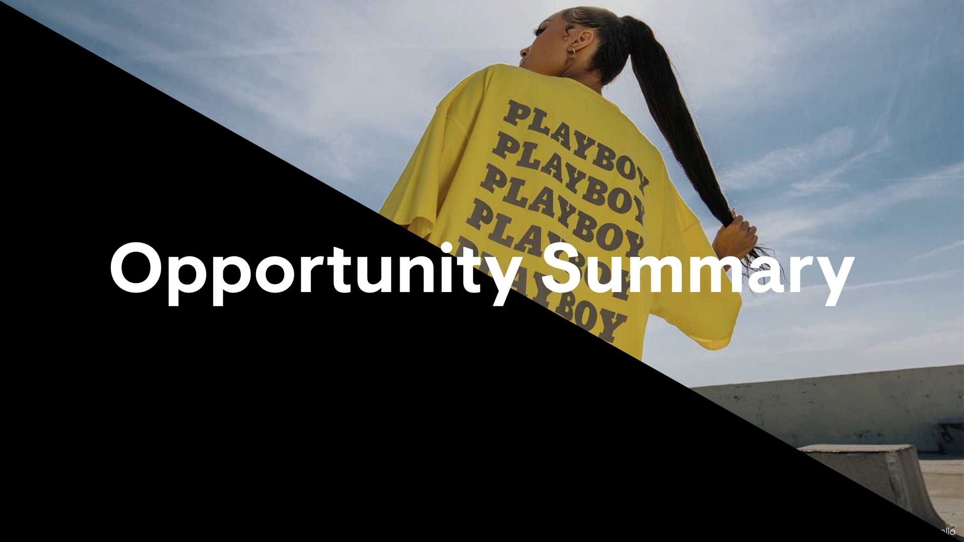opportunity summary | Playboy