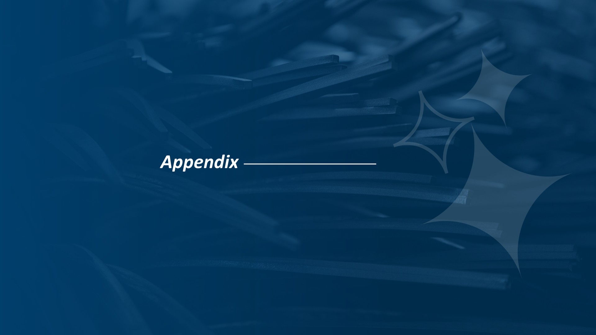 appendix | Mister Car Wash