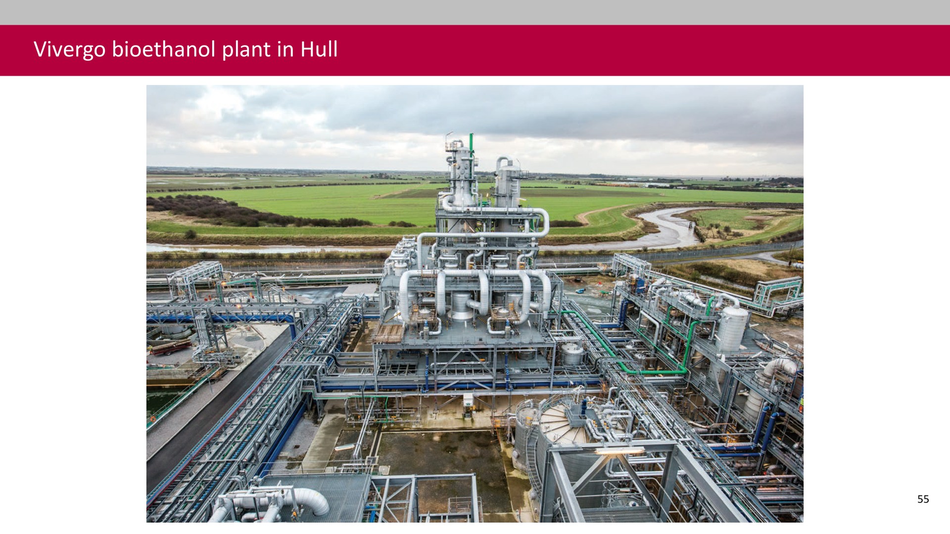 plant in hull | Associated British Foods
