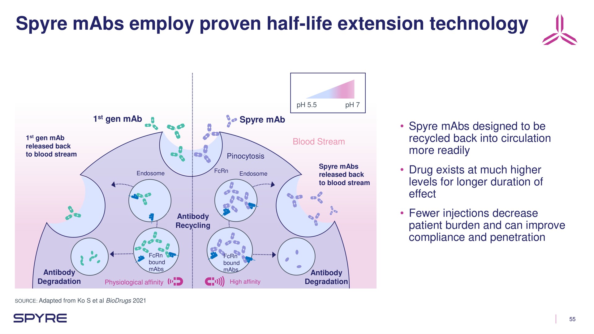 employ proven half life extension technology | Aeglea BioTherapeutics