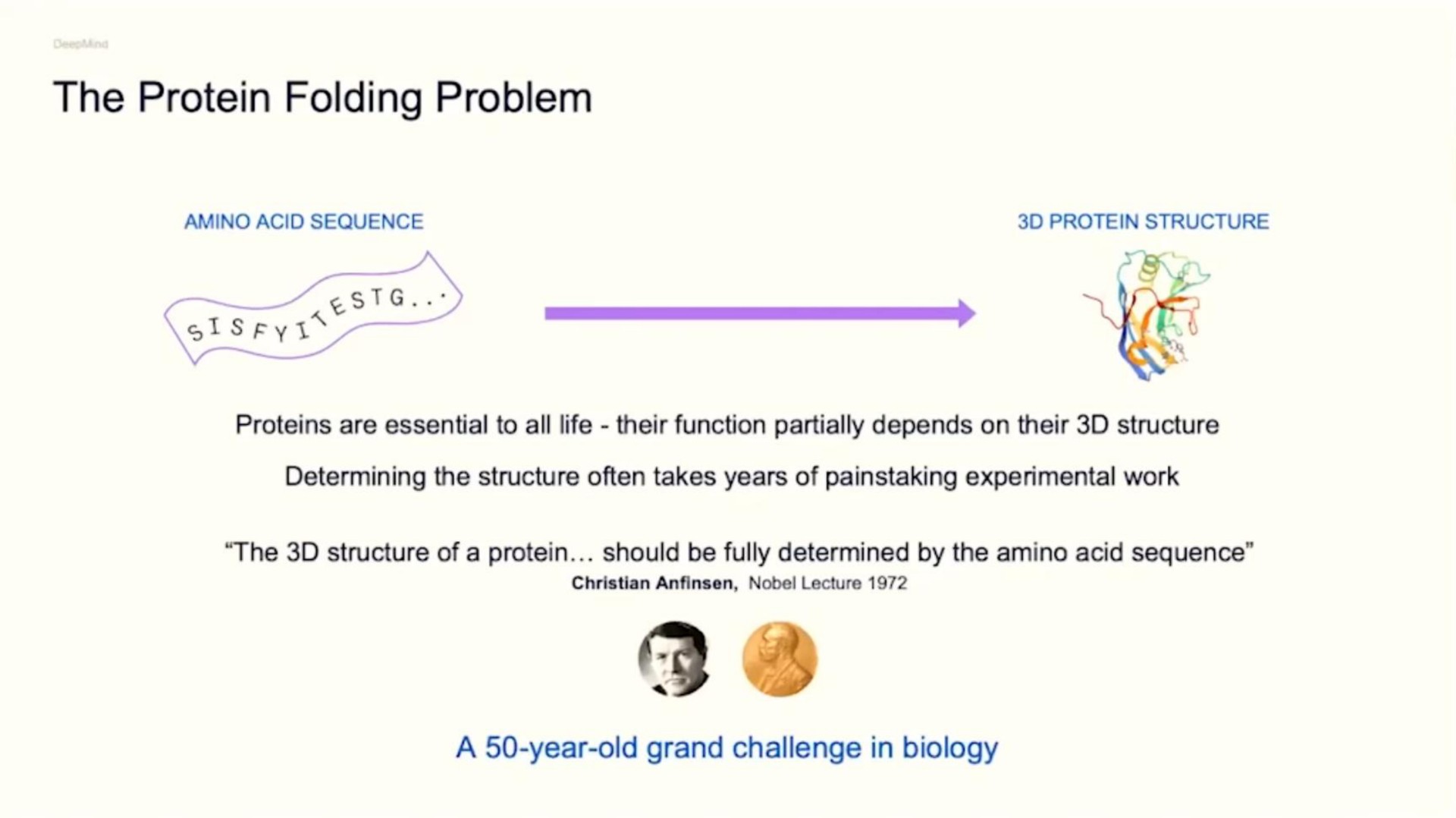 the protein folding problem amino acid sequence pecan protein structure proteins are essential to all life their function partially depends on their structure determining the structure often takes years of painstaking experimental work the structure of a protein should be fully determined by the amino acid sequence lecture a year old grand challenge in biology | DeepMind
