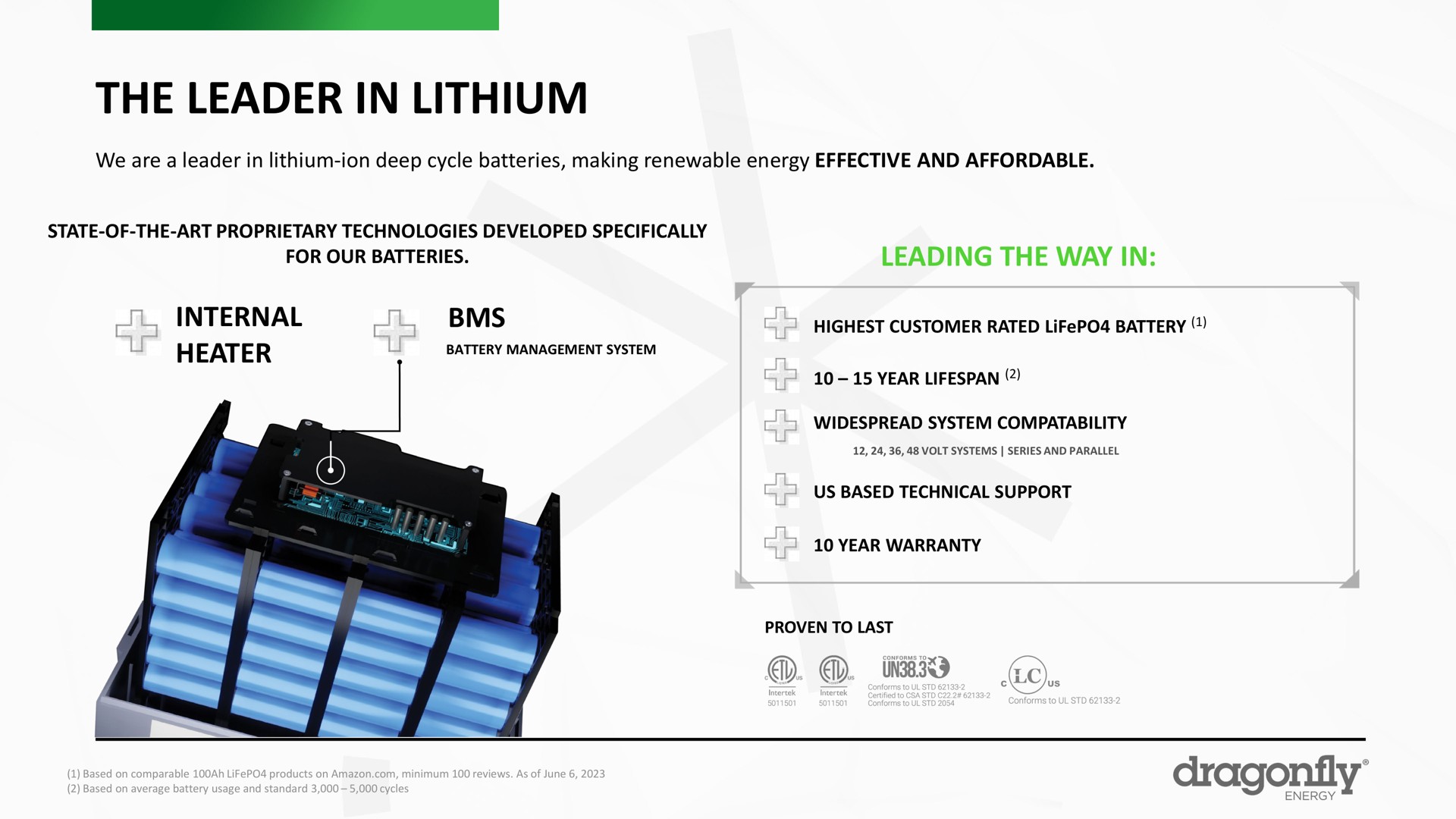 the leader in lithium | Dragonfly Energy