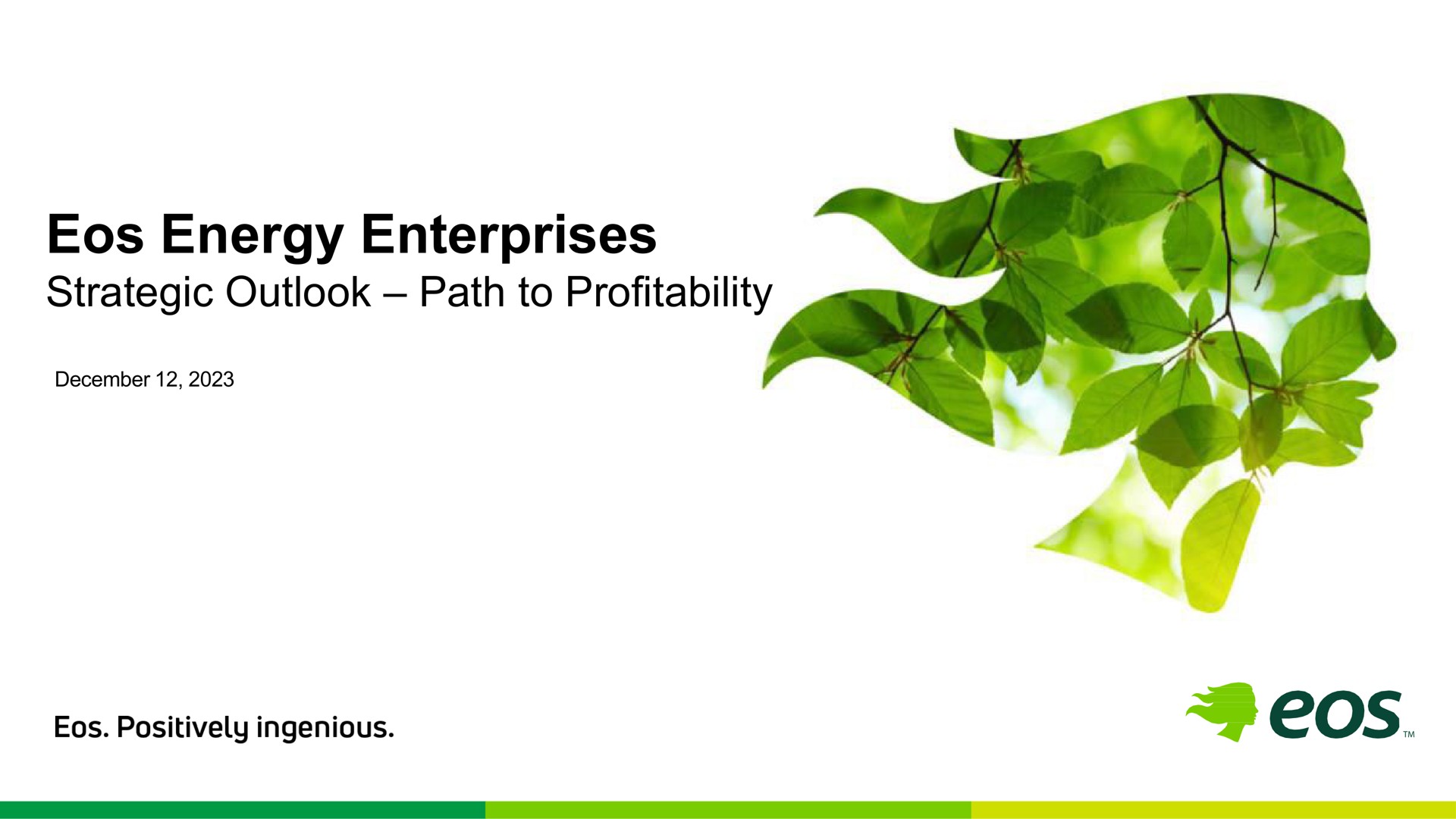 energy enterprises strategic outlook path to profitability | Eos Energy