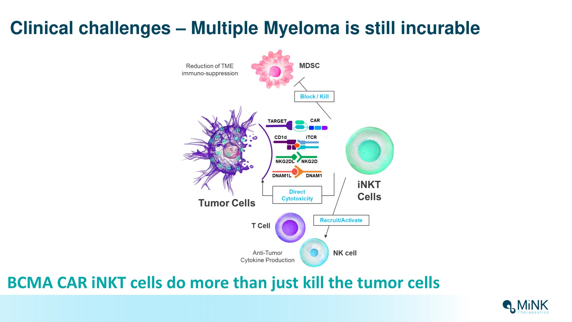 clinical challenges multiple myeloma is still incurable car cells do more than just kill the tumor cells mink | Mink Therapeutics
