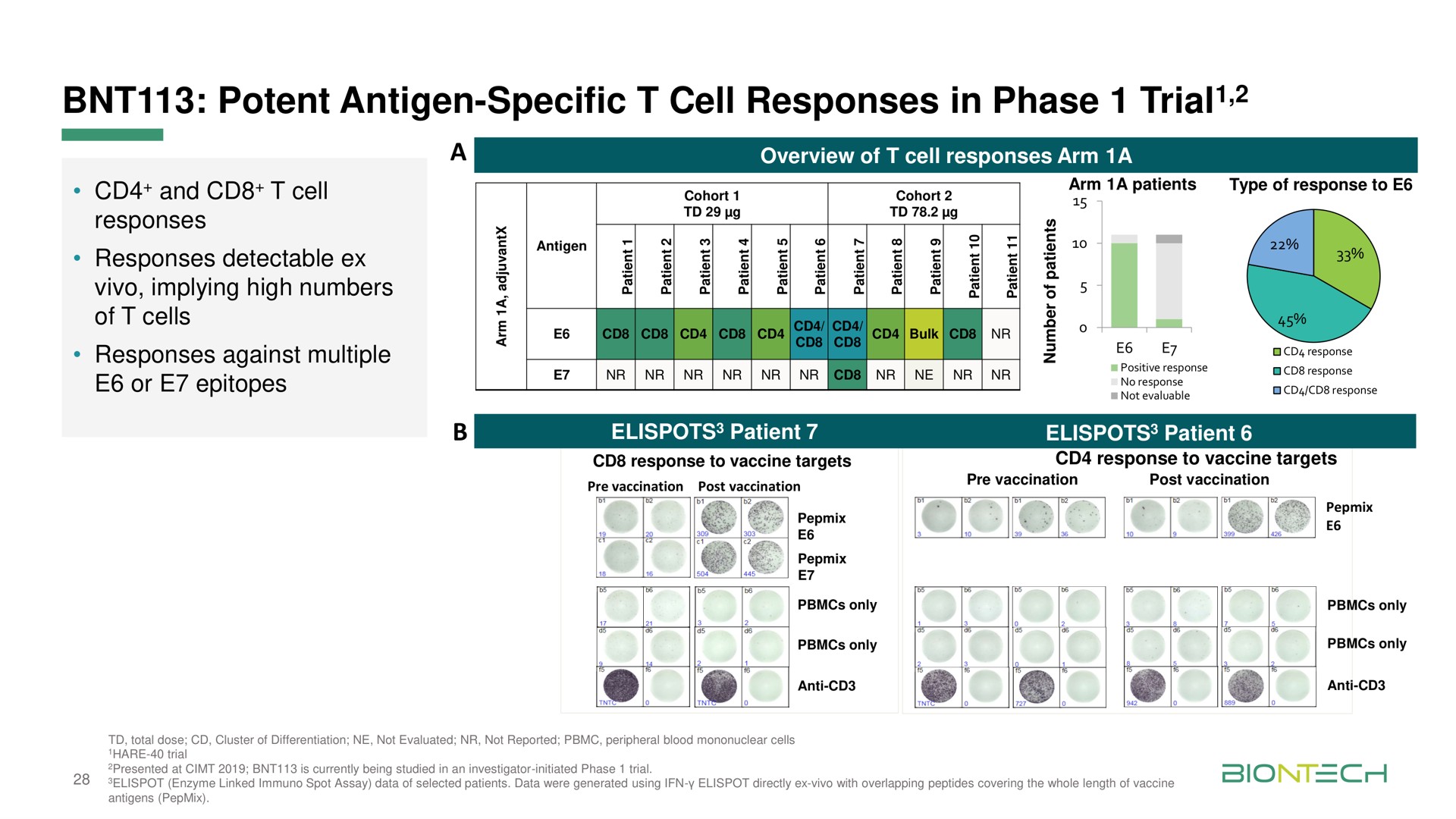 potent antigen specific cell responses in phase trial trial and a peal cohort cohort | BioNTech