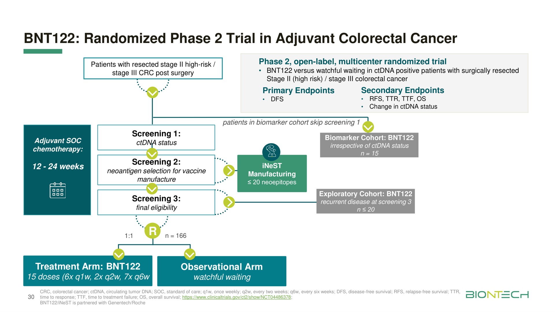 randomized phase trial in adjuvant cancer | BioNTech
