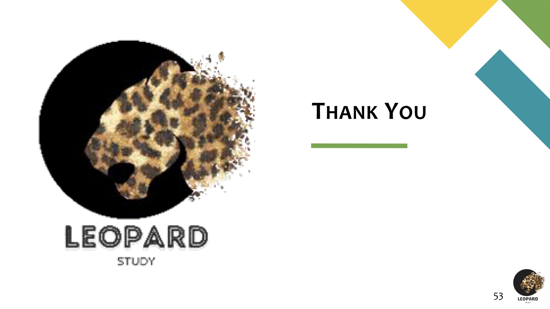 thank you leopard | Oculis