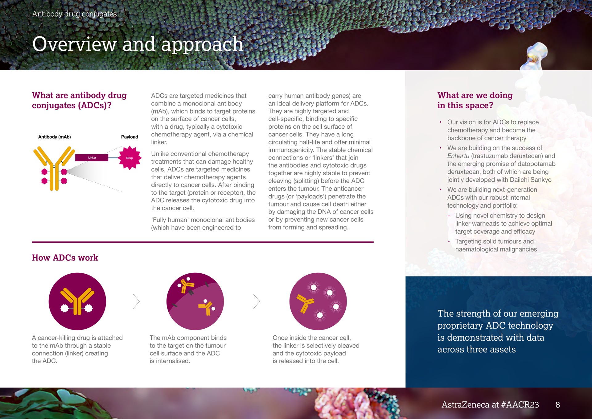 overview and approach | AstraZeneca