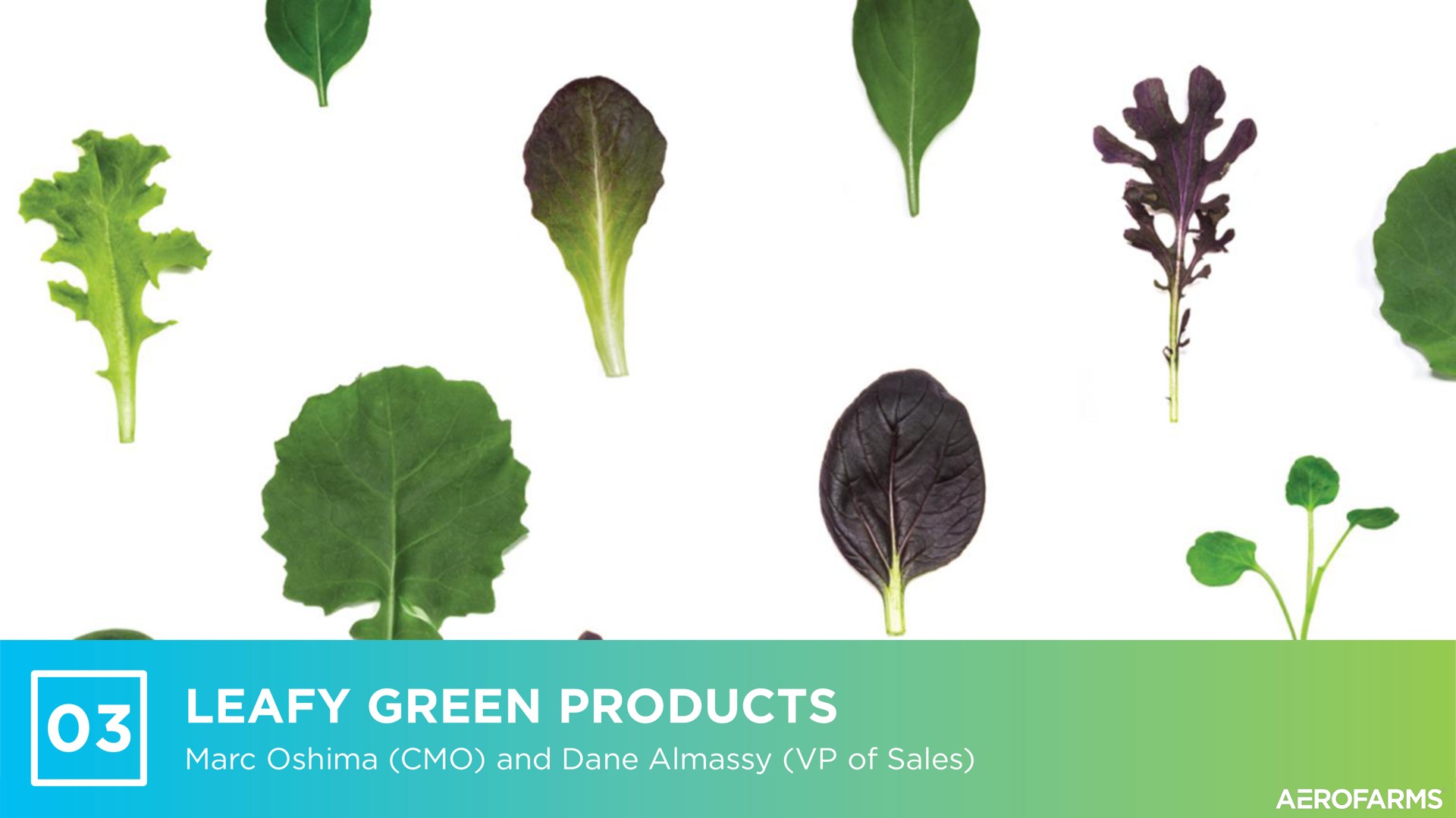 leafy green products | AeroFarms