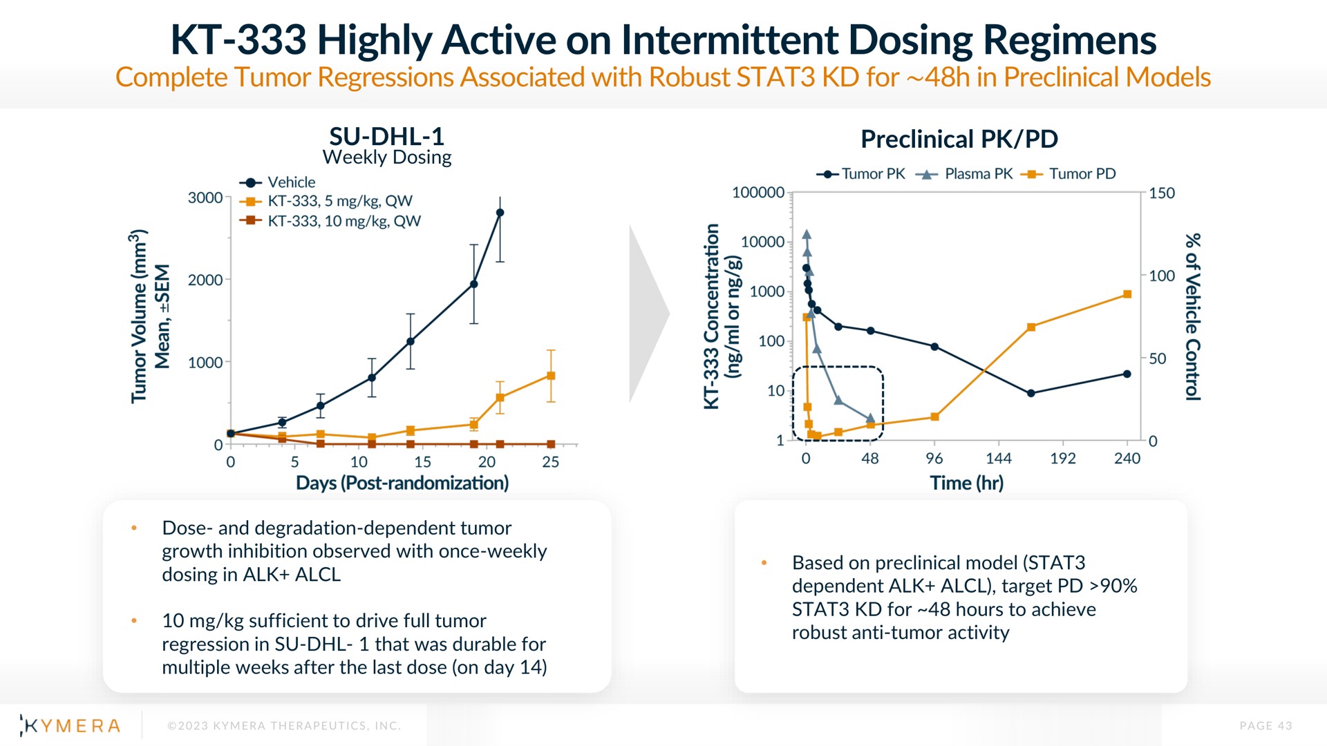 highly active on intermittent dosing regimens | Kymera