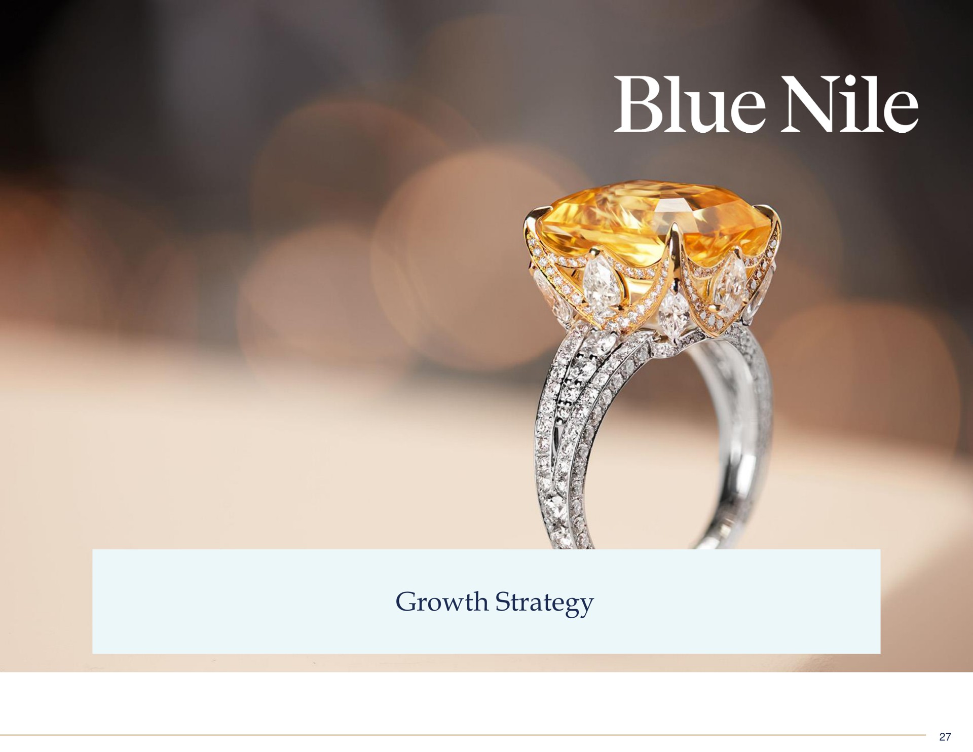 growth strategy | Blue Nile