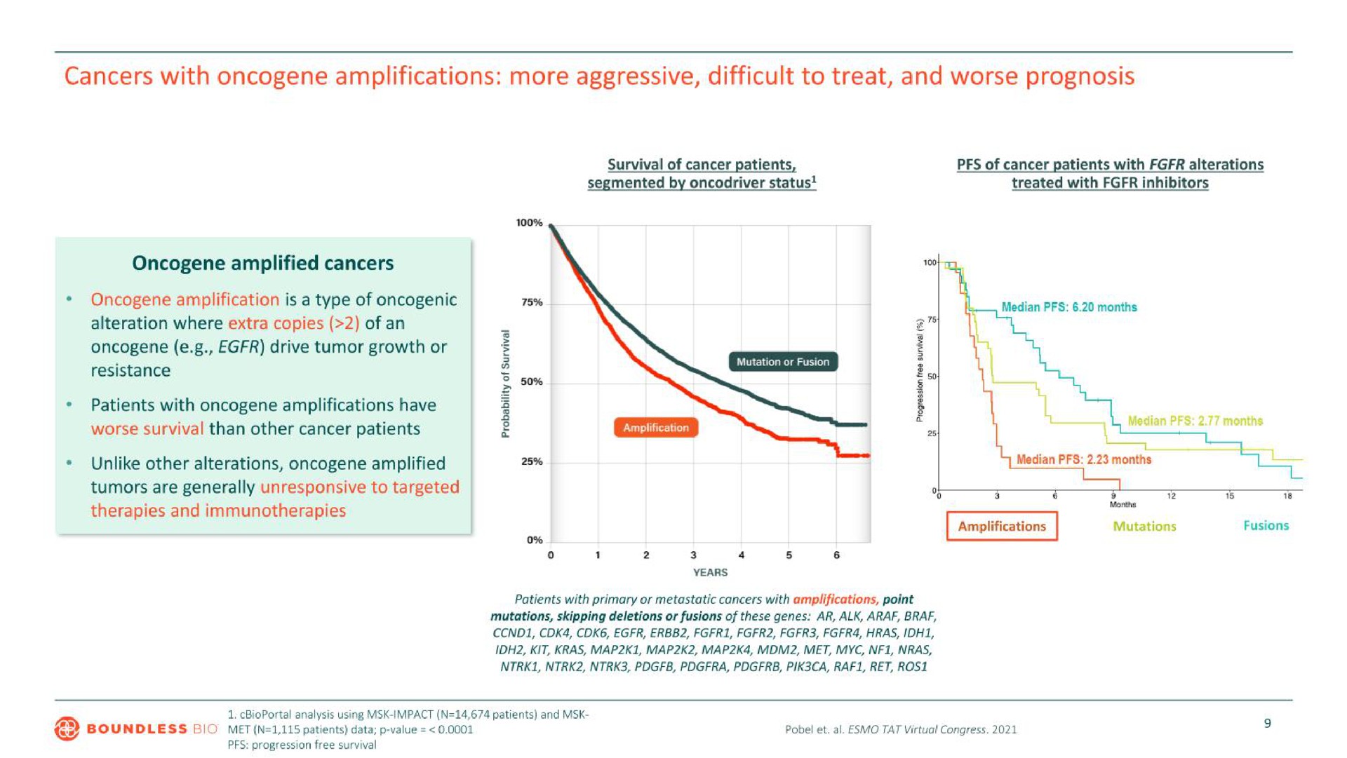 cancers with amplifications more aggressive difficult to treat and worse prognosis | Boundless Bio