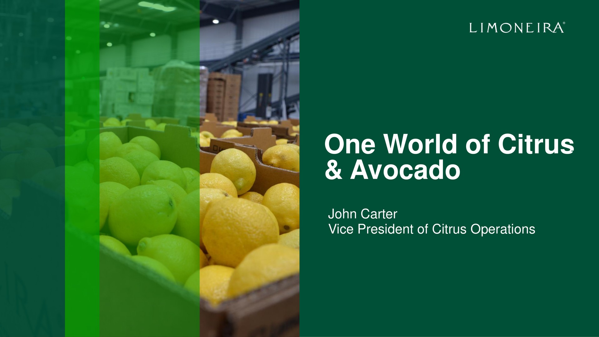 one world of citrus avocado | Limoneira