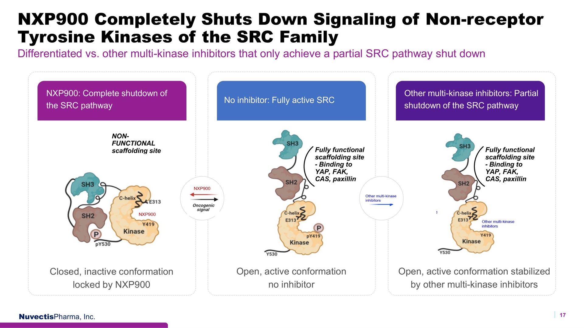 completely shuts down signaling of non receptor tyrosine kinases of the family | Nuvectis Pharma