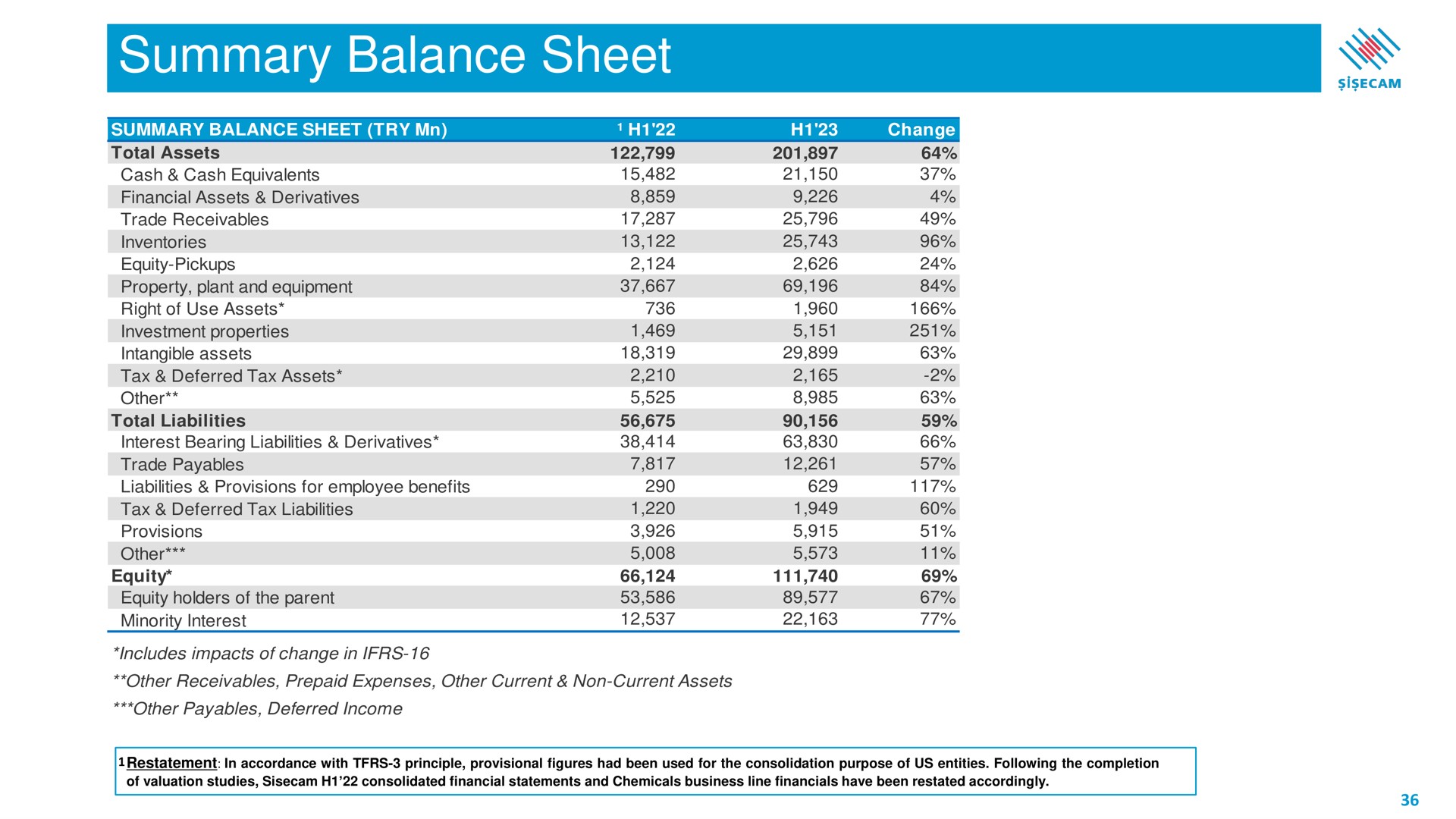 summary balance sheet | Sisecam Resources