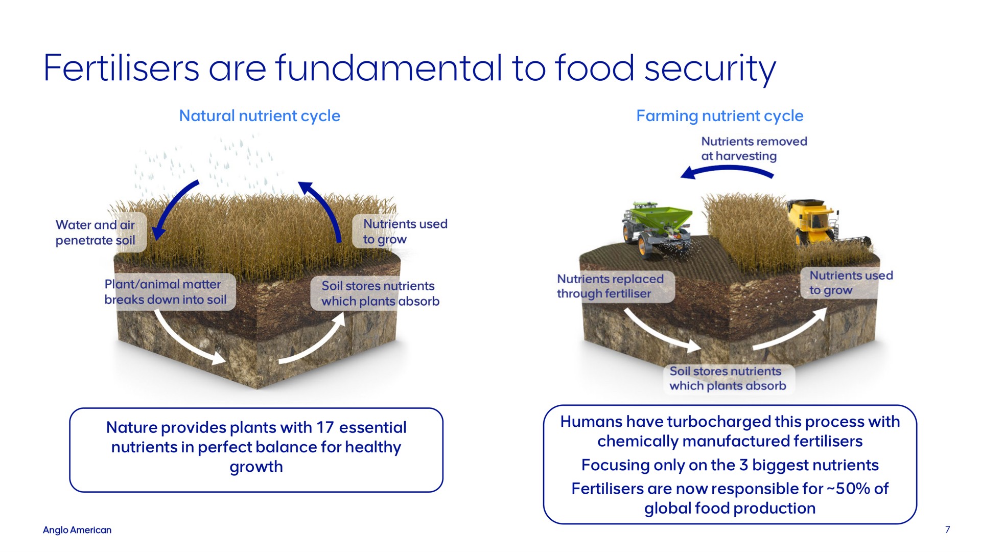 are fundamental to food security | AngloAmerican